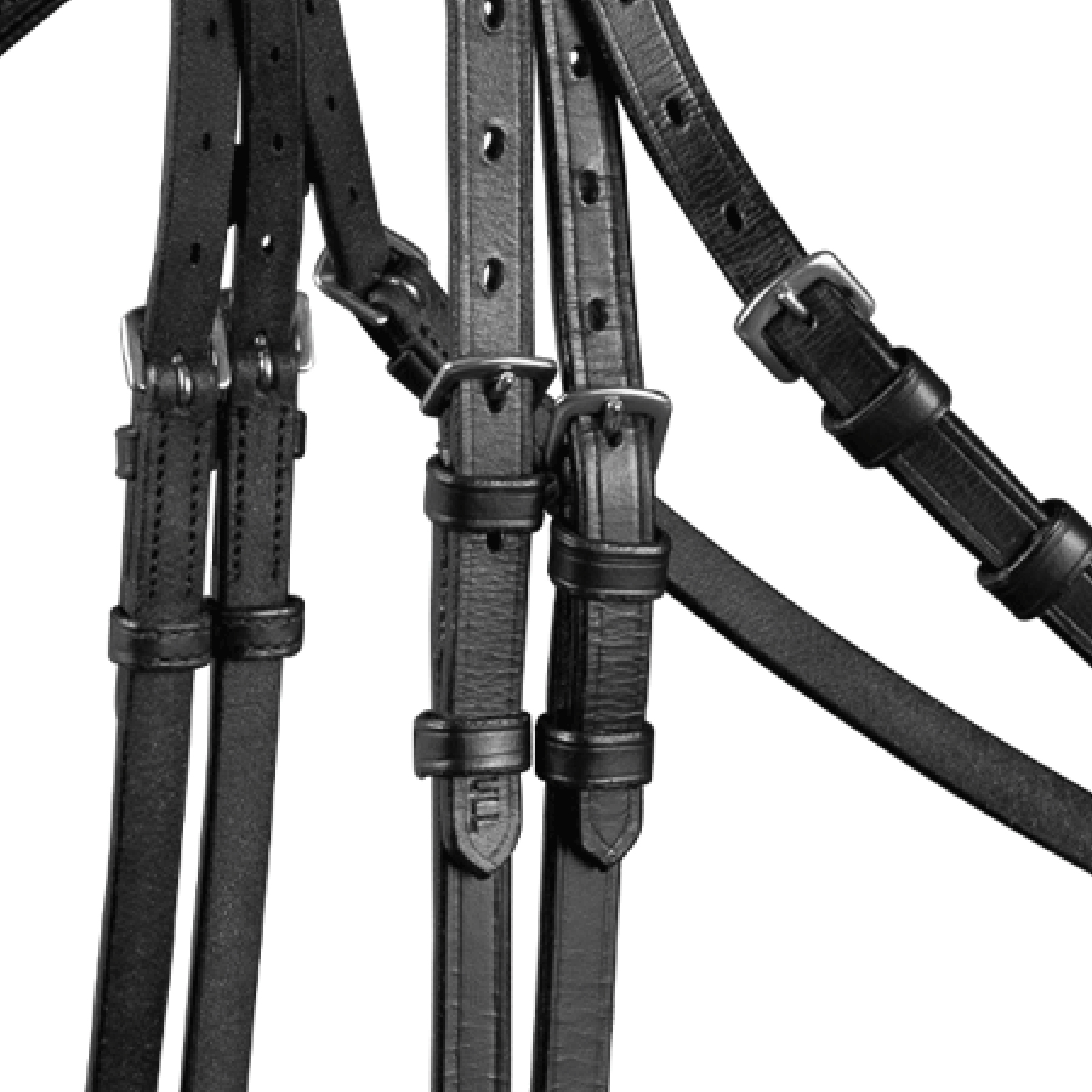 Trensenzaum X-Line New Shape II