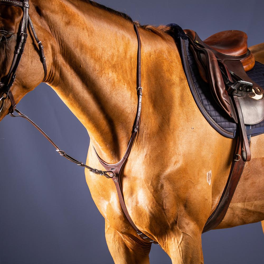Martingale fixe