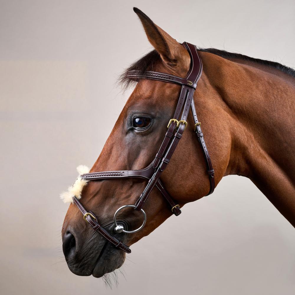 Trense mit geflochtenen mexikanischem Reithalfter DY |