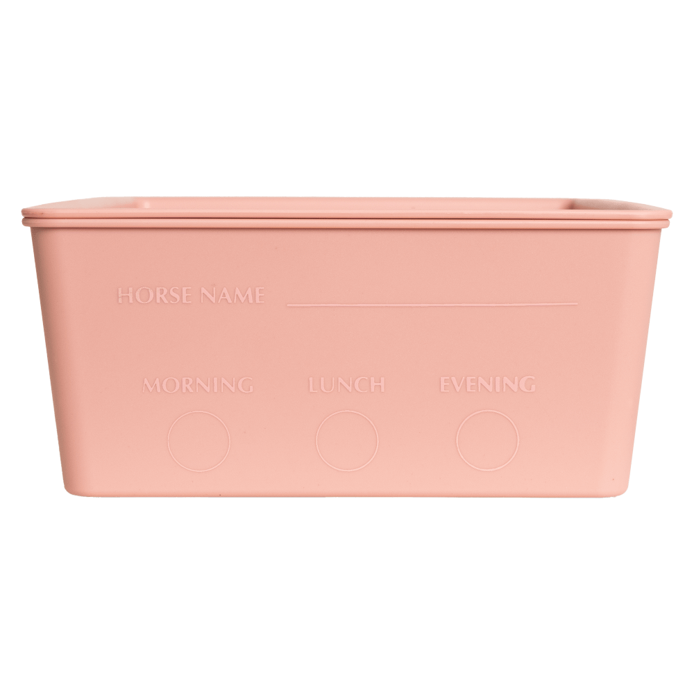 Feed box for horses with lid