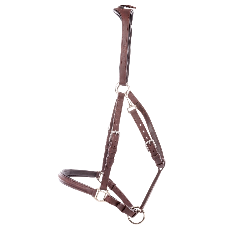 Wanderreittrense "Artemis"