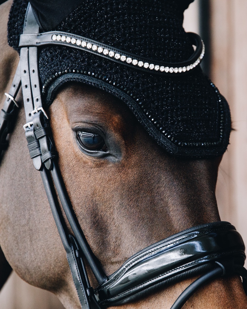 Fly ears Wellington Glitter Band