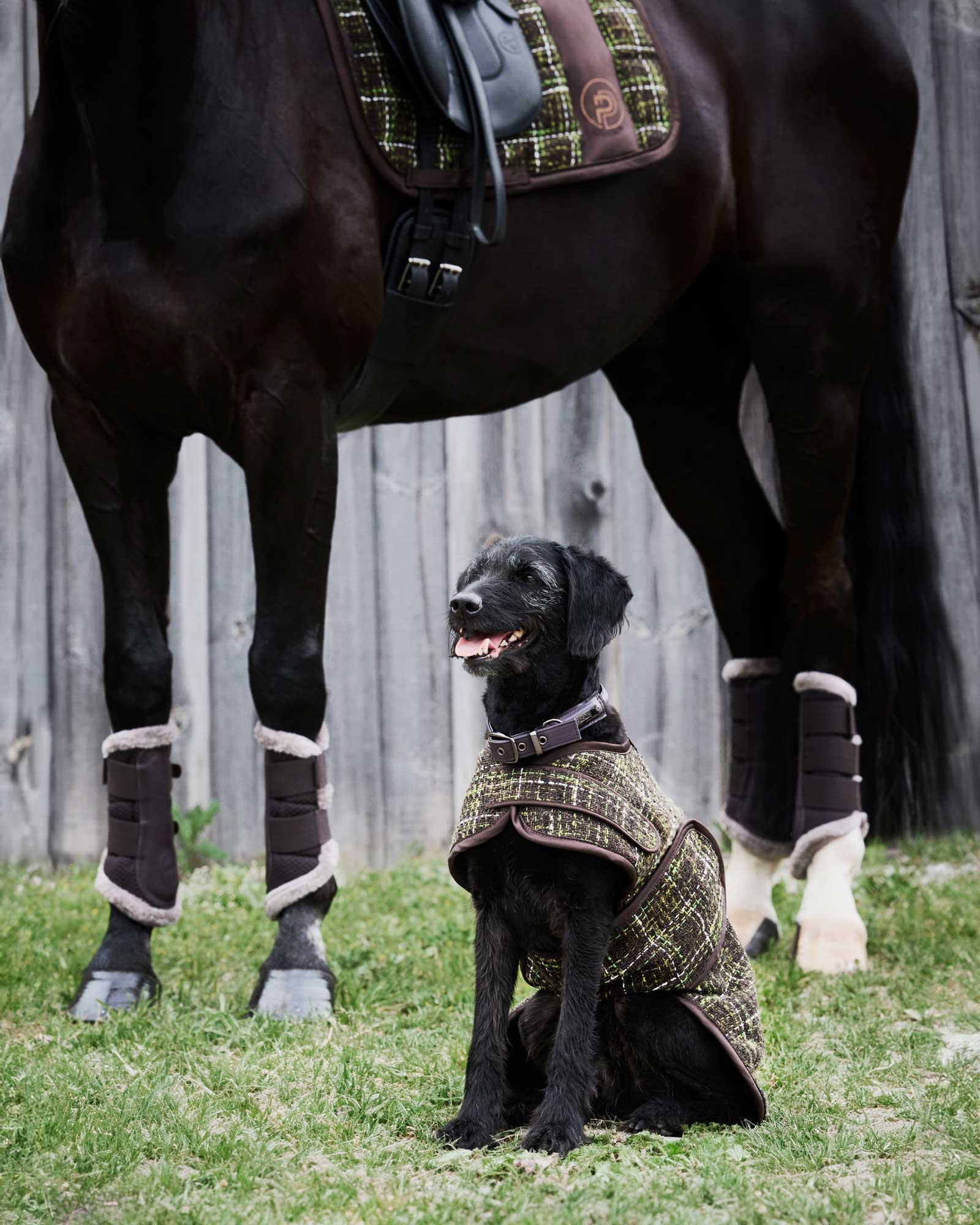 Bouclé Platinum dog coat in teak brown
