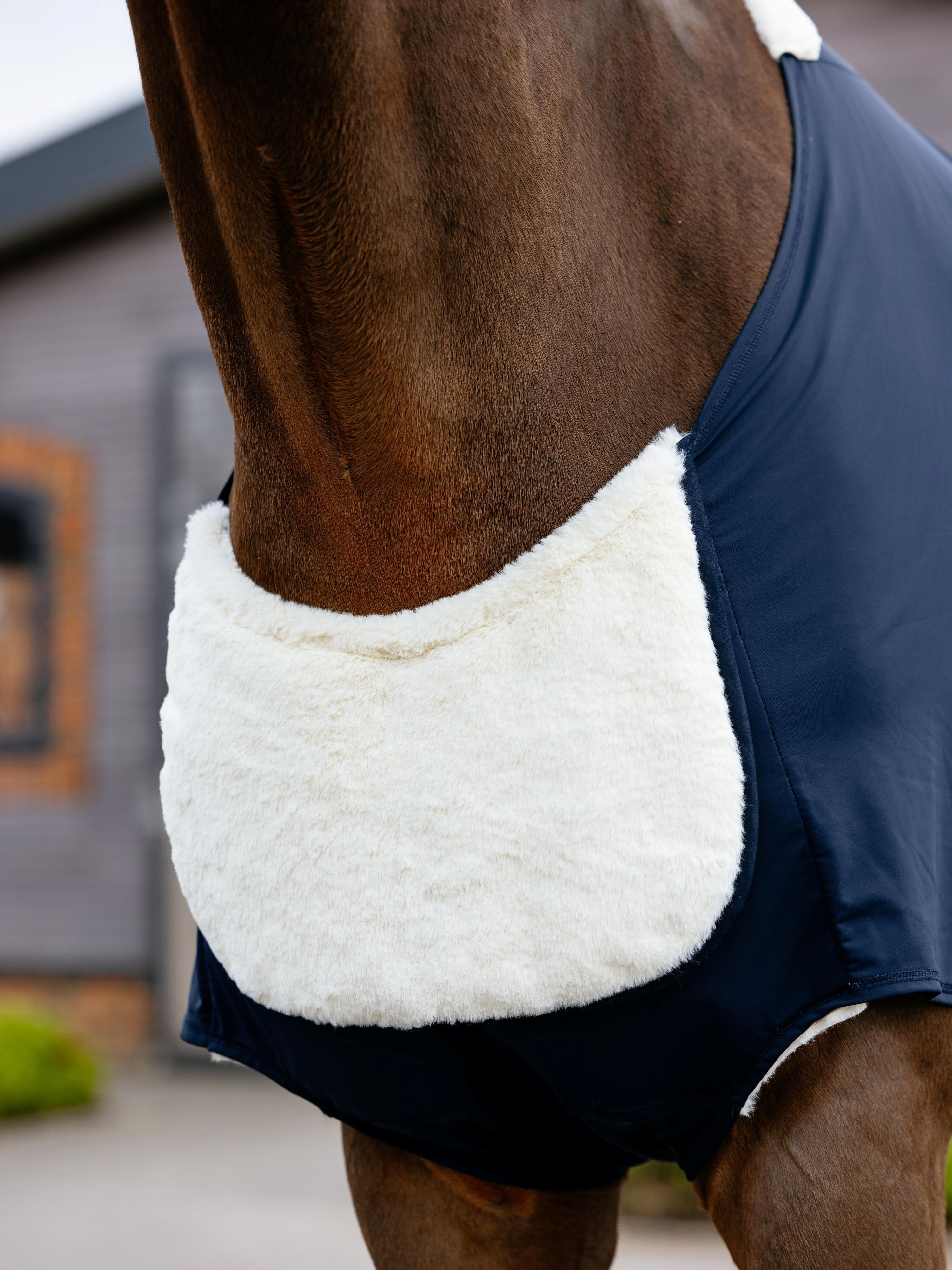 Sensitive Anti Rub chest protector