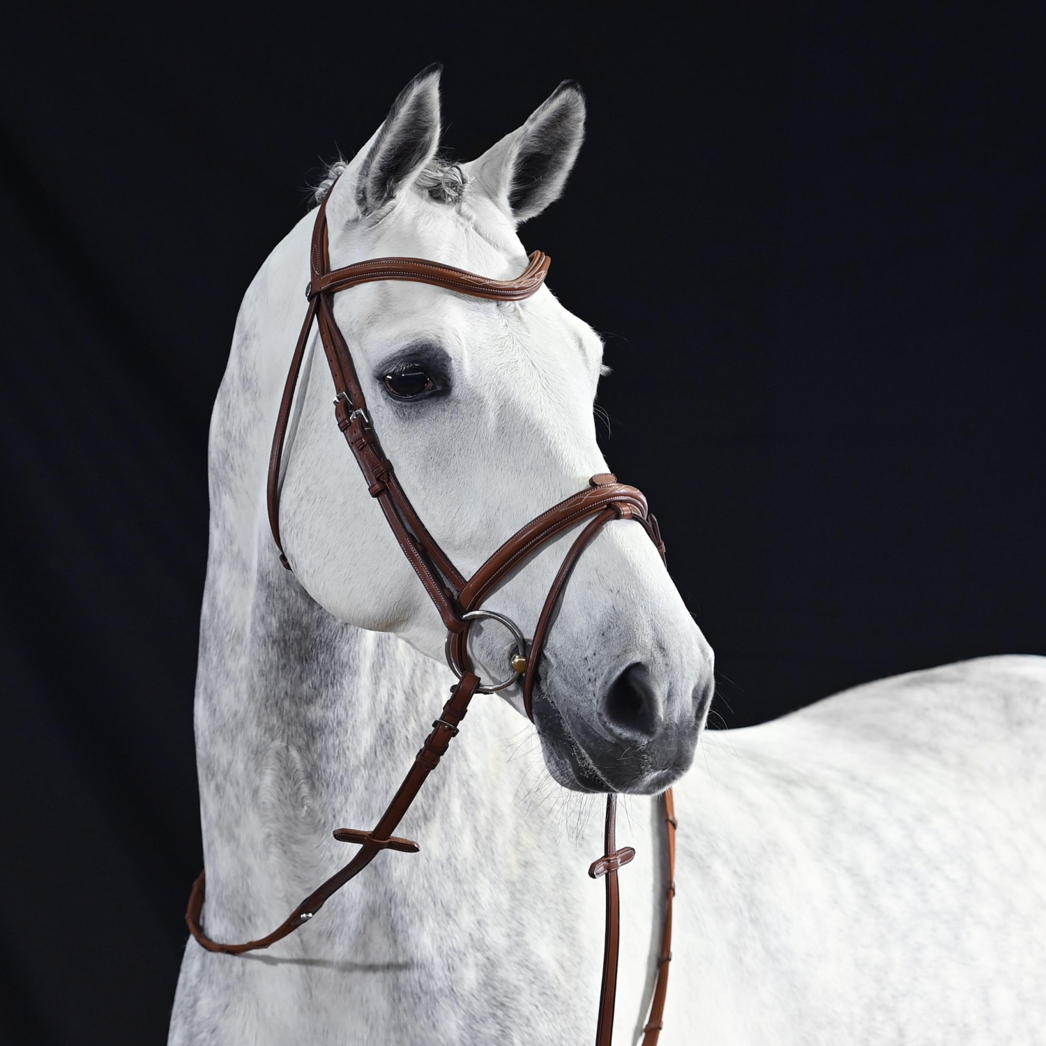 Trense Take-Off Line AS