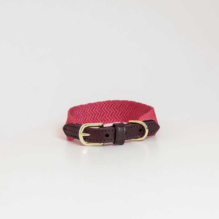 Hundehalsband Jacquard Hundehalsband Jacquard