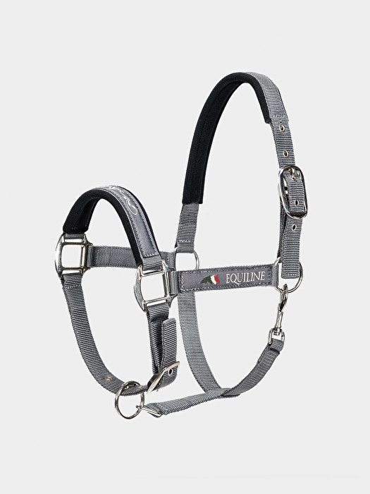 Timmy halter