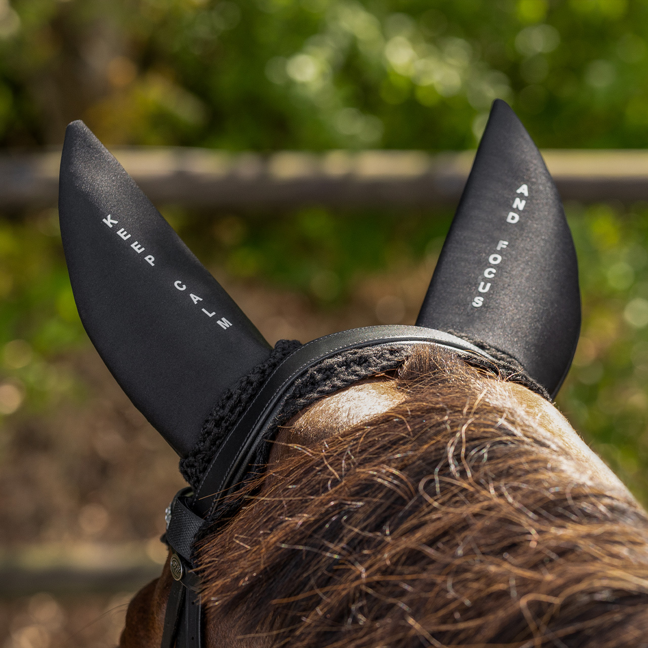 Fly ears 'Keep calm and focus'