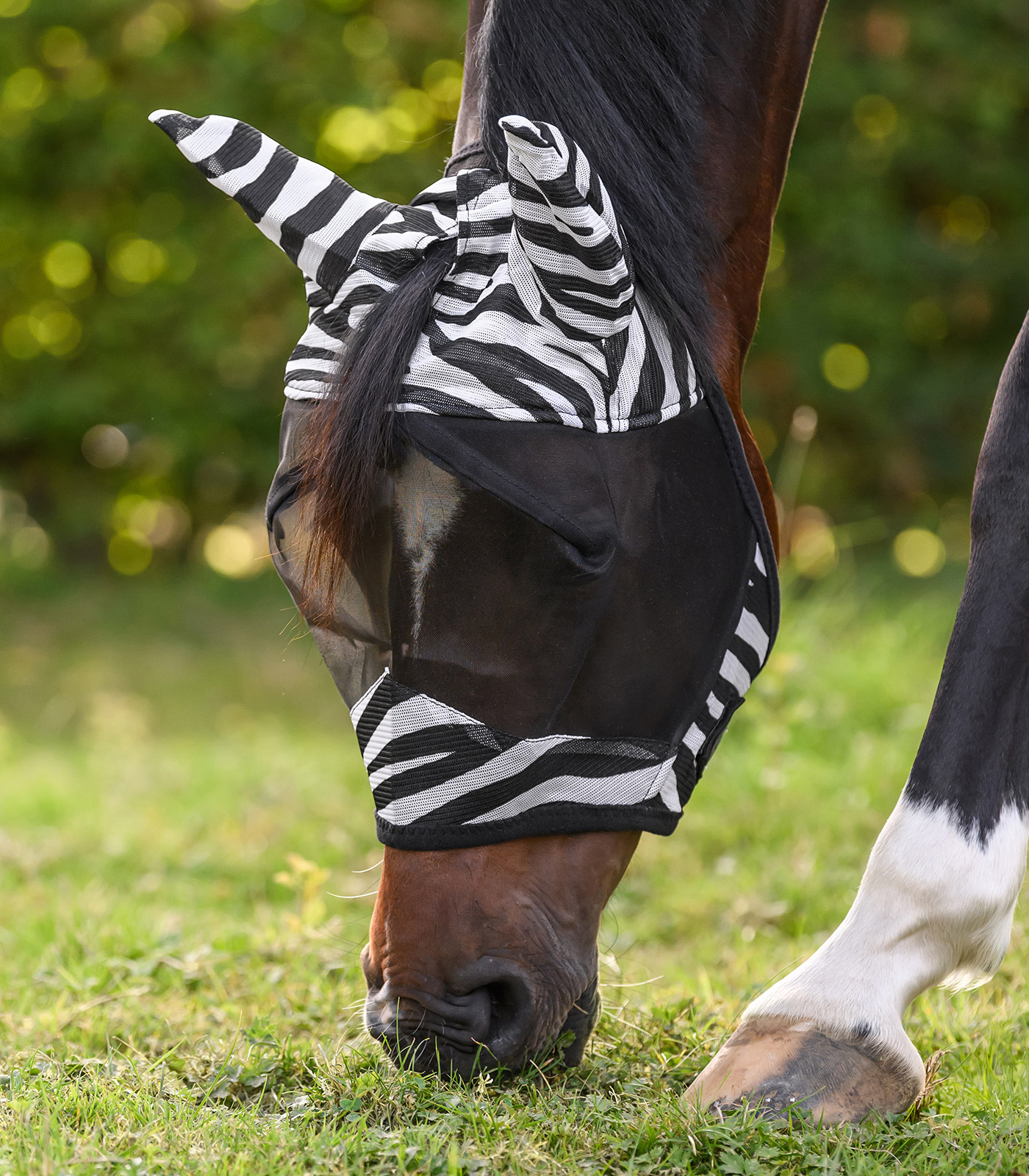 Zebra fly mask