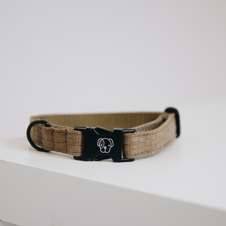 Dog collar lizard