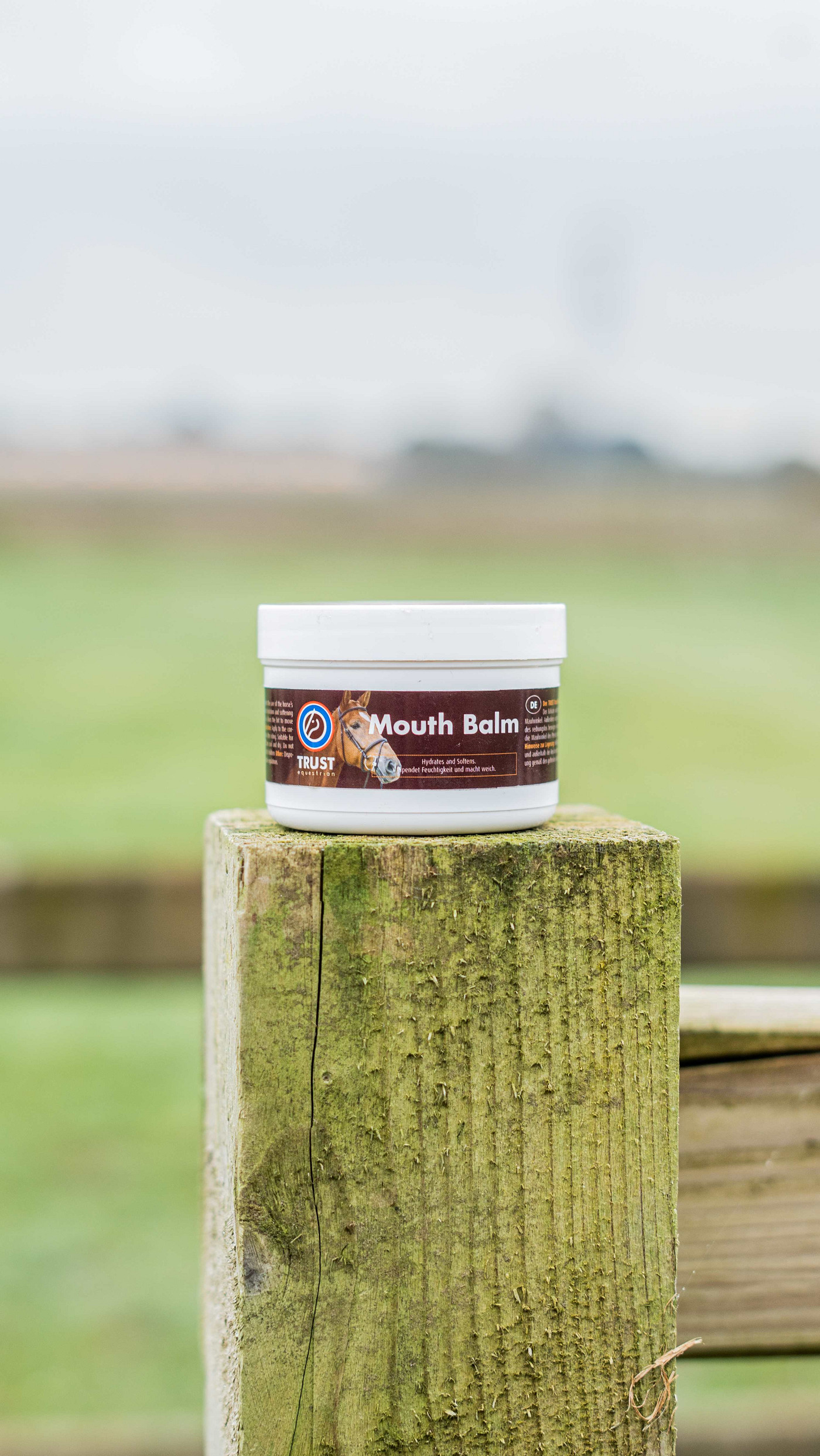 Mouth Balm