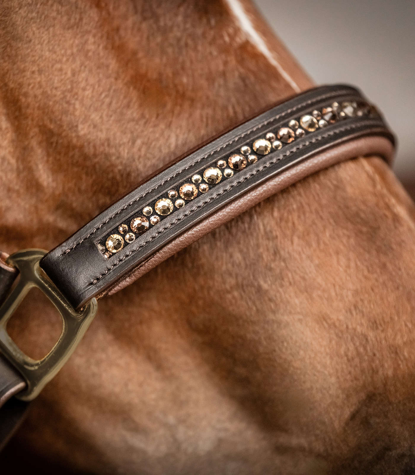 Leather halter Crystal Leather halter Crystal