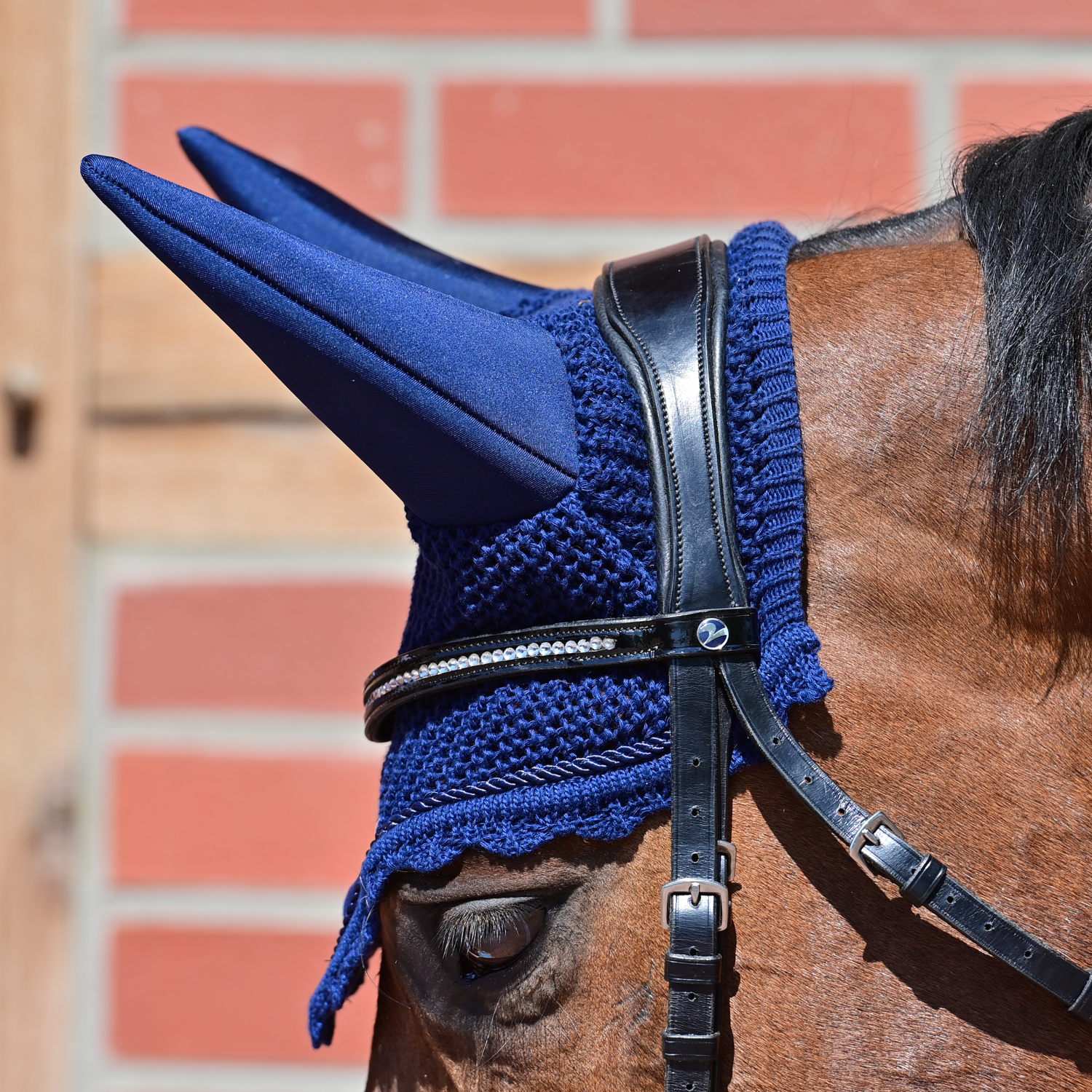 Fliegenohren Calm II