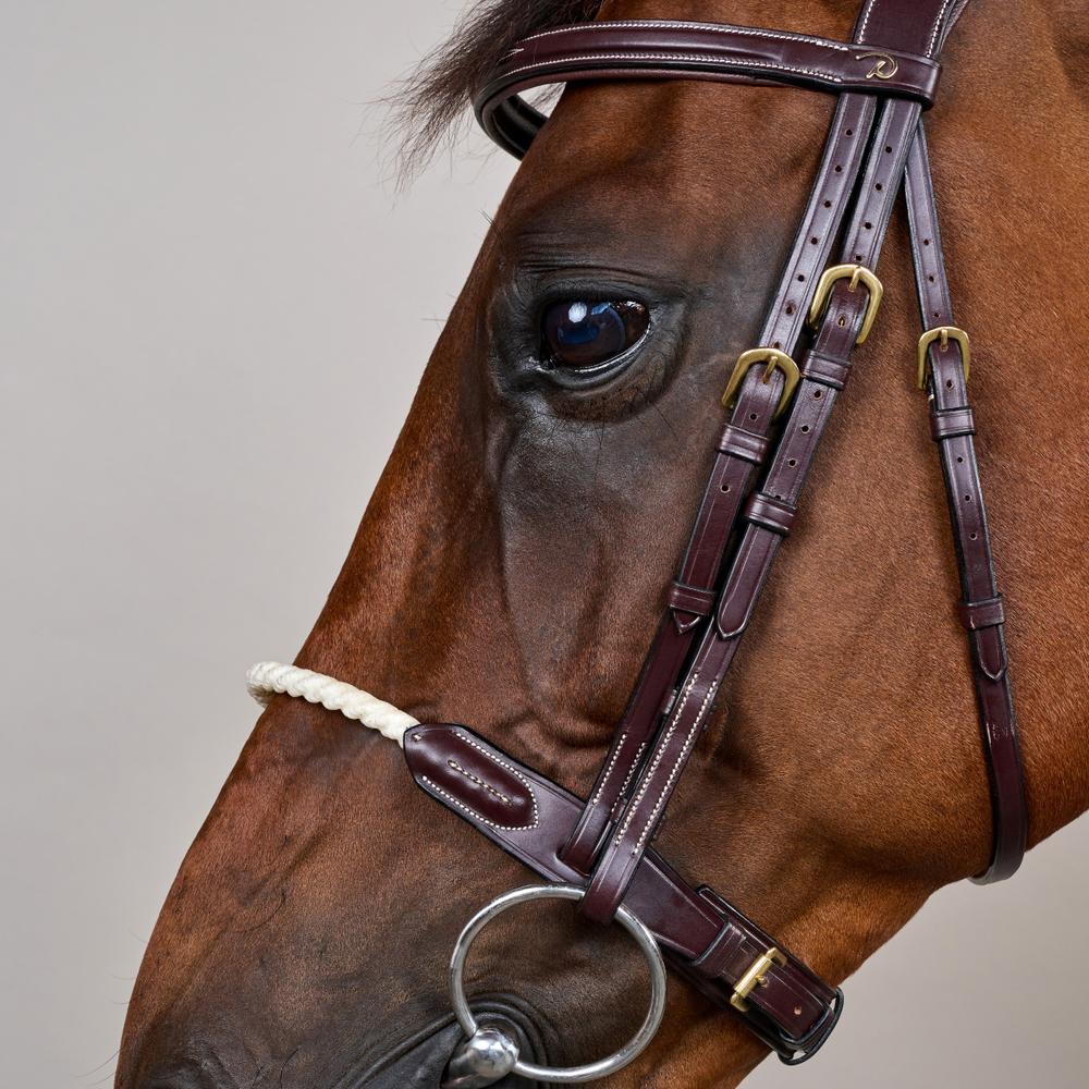 Trense mit Strickreithalfter DY | Dy'on