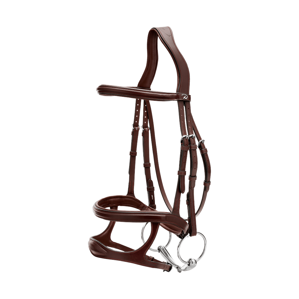 Trense mit Doppelreithalfter NE