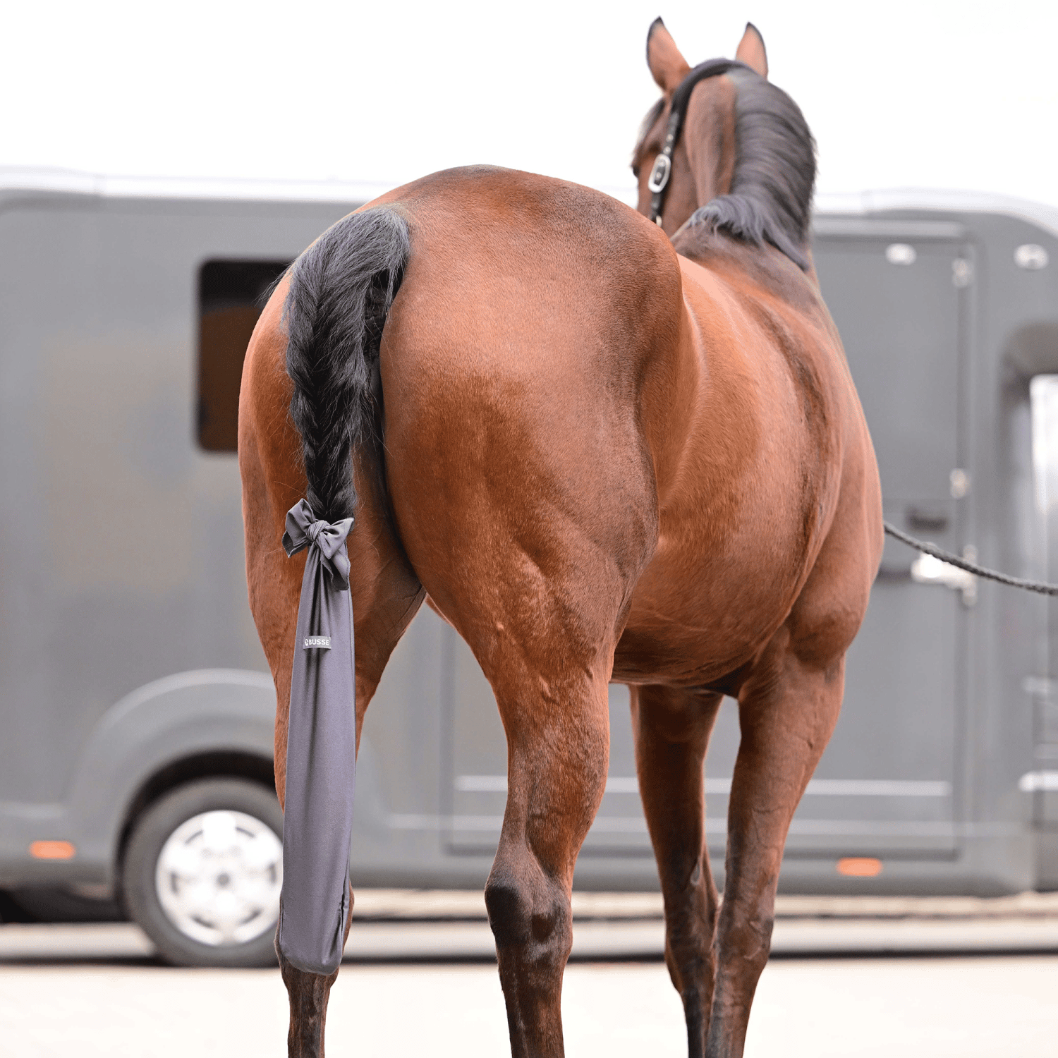 Schweifschoner Clean