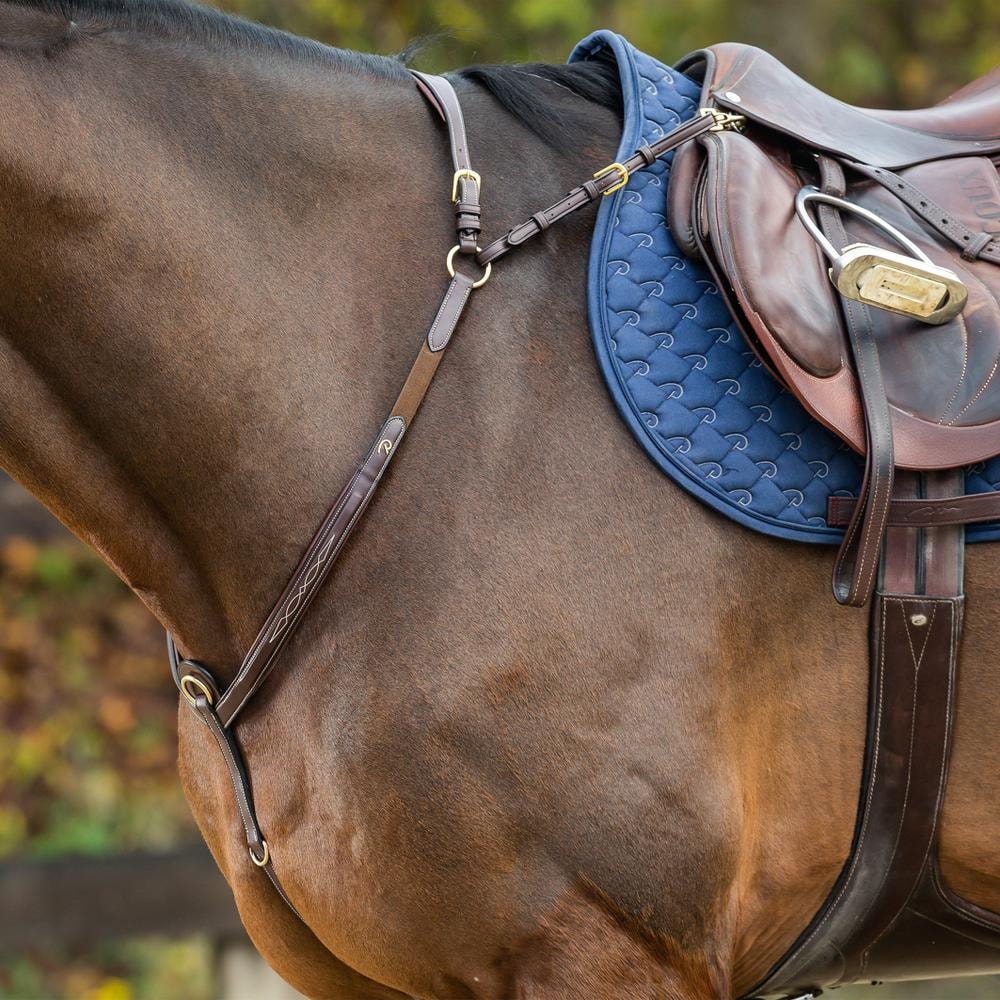 Vorderzeug mit Brücke | Dy'on