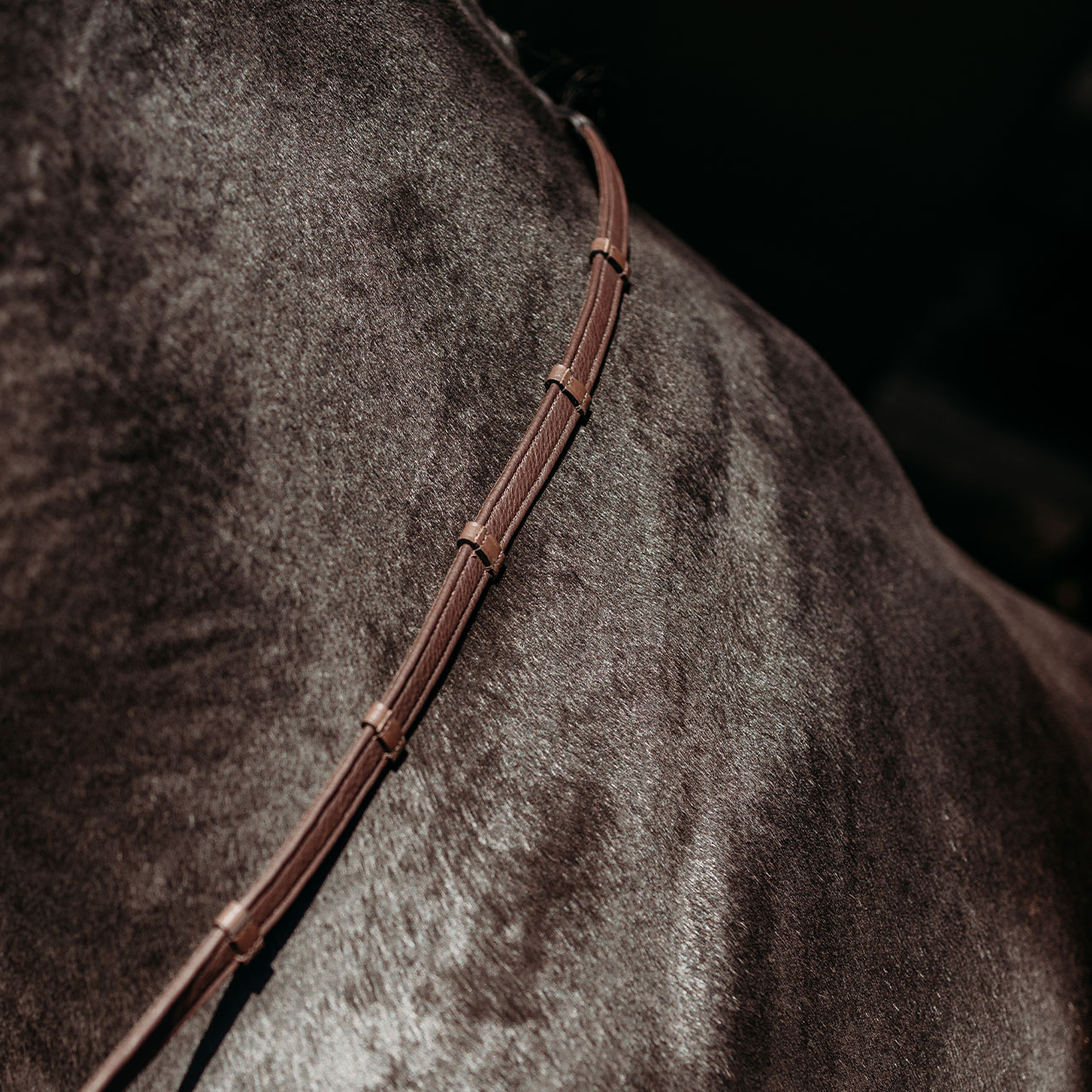 Reins FayRein with stops(8cm)
