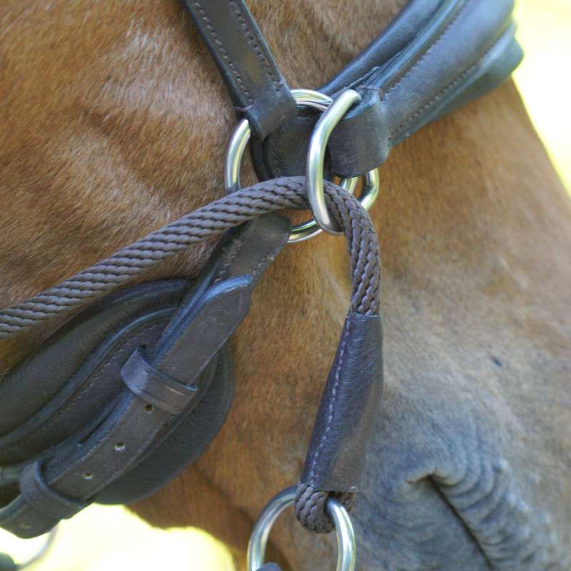 Trense "Cross Light" Gebisslos engl.
