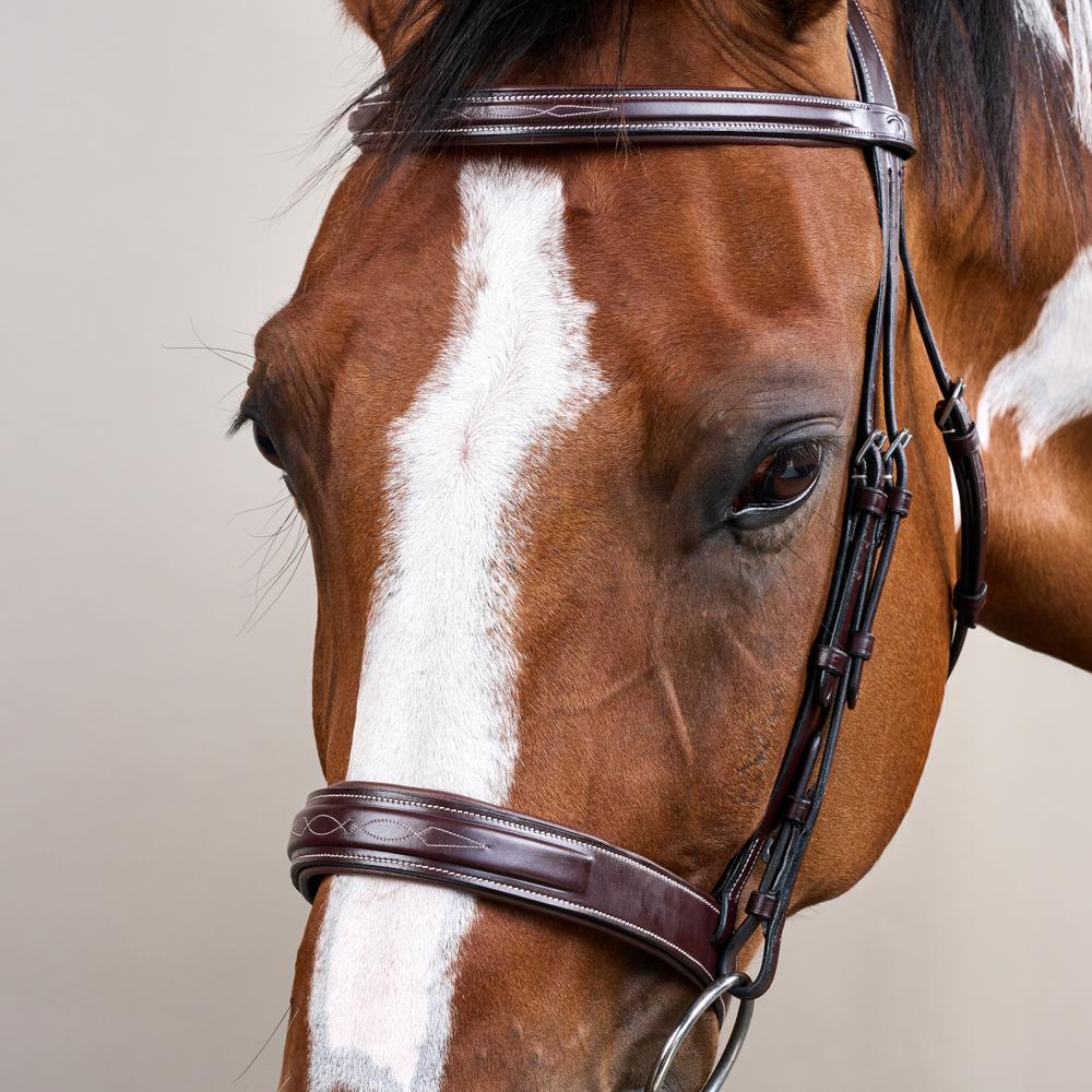 Hunter Trense mit breitem englischem Reithalfter US