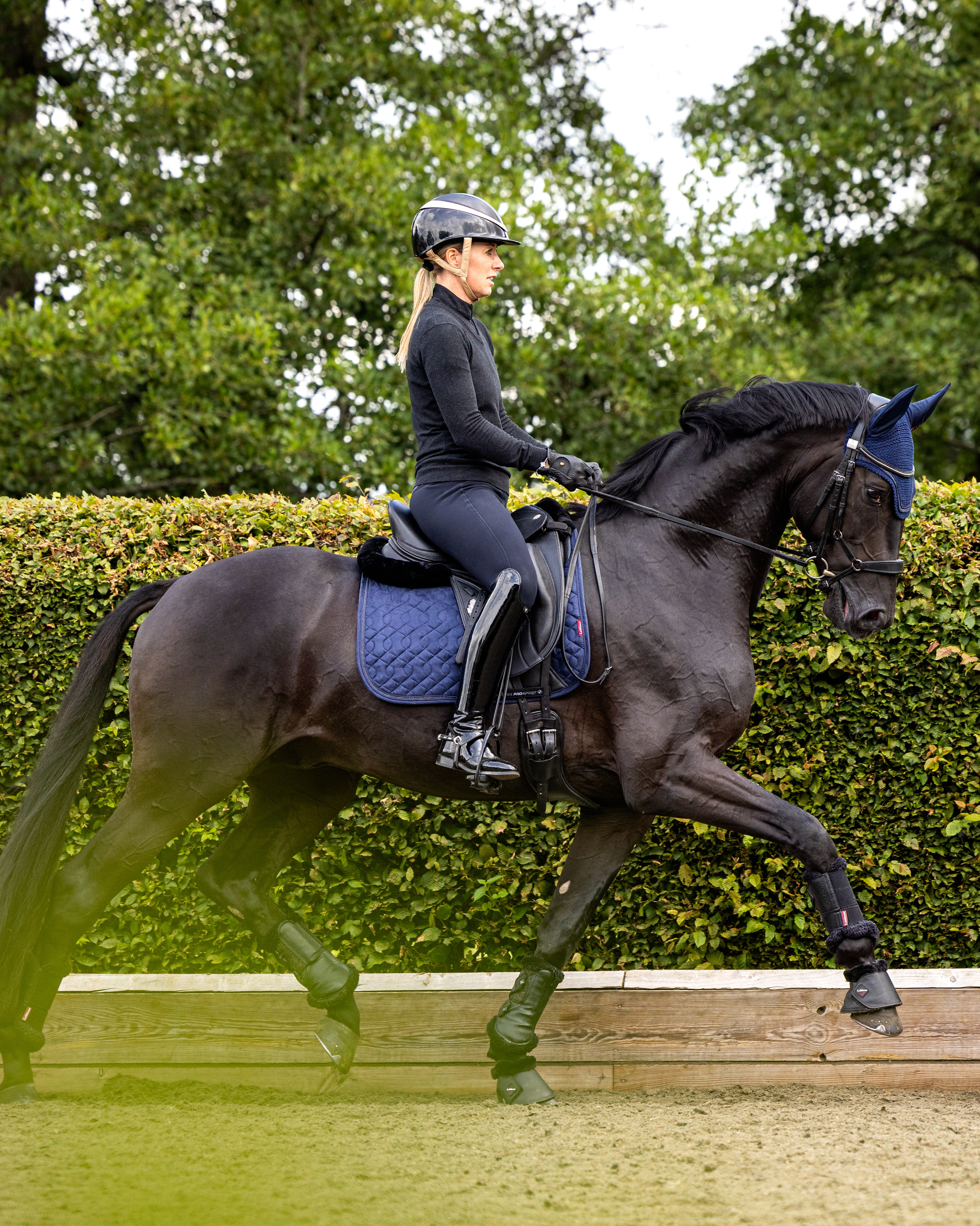 Saddle pad Crystal