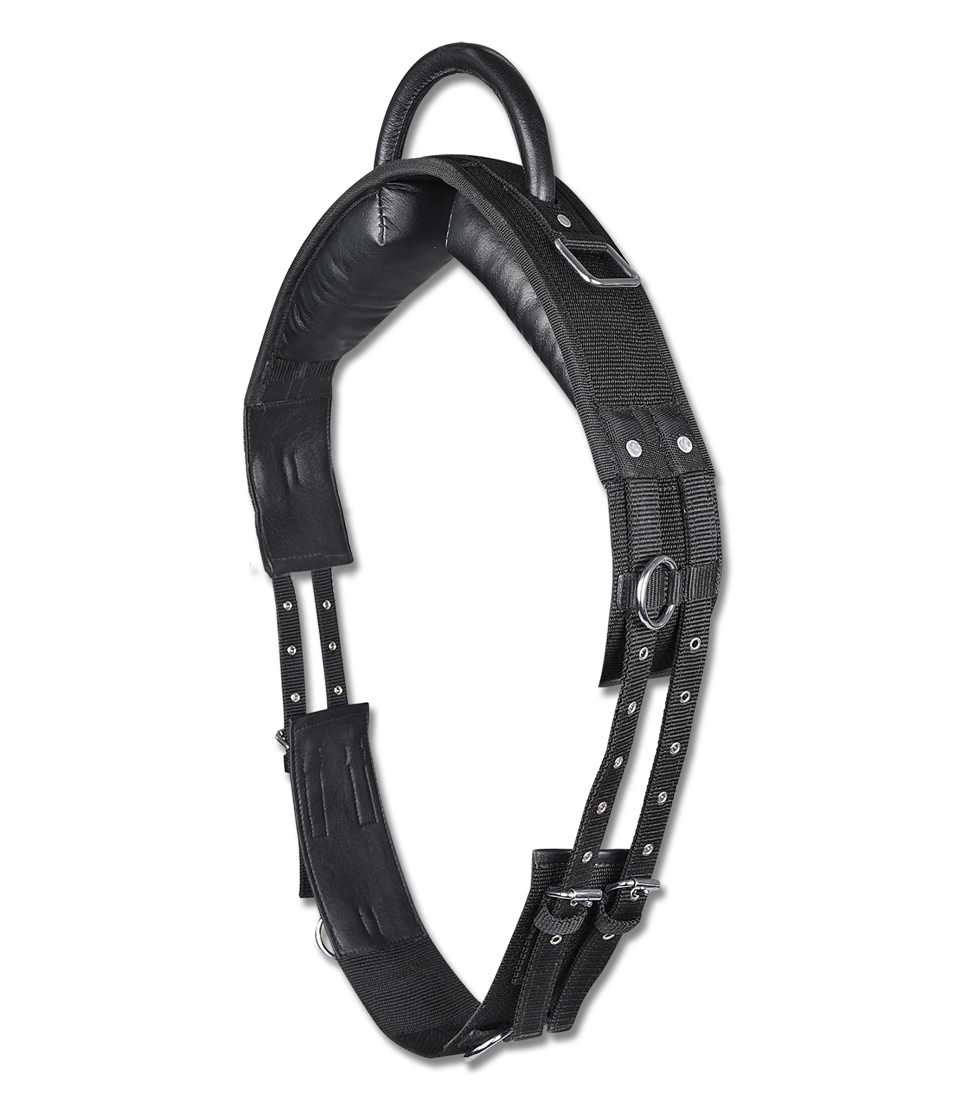 Lunging harness with handle