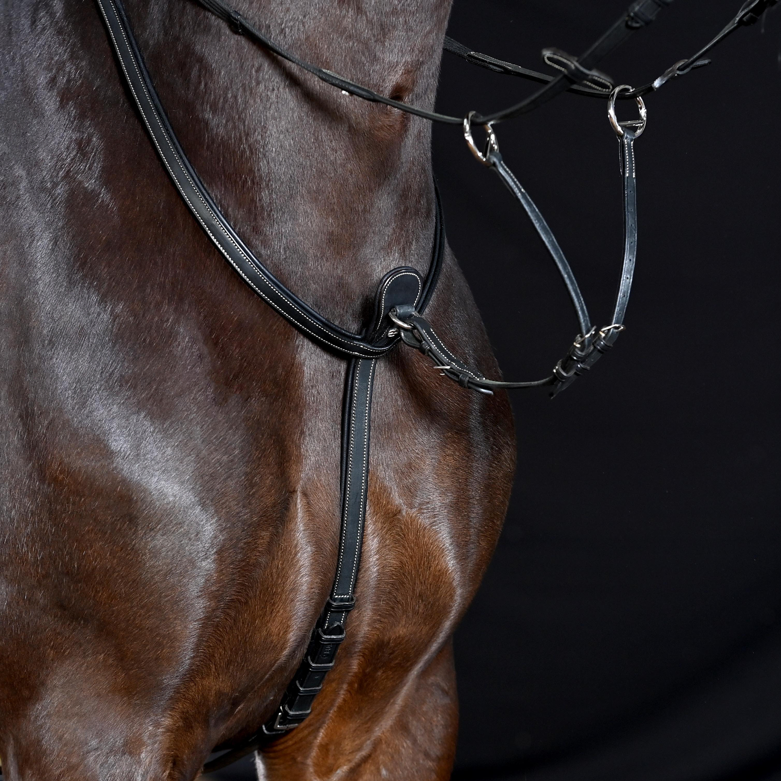 Martingale Take-Off Line AM