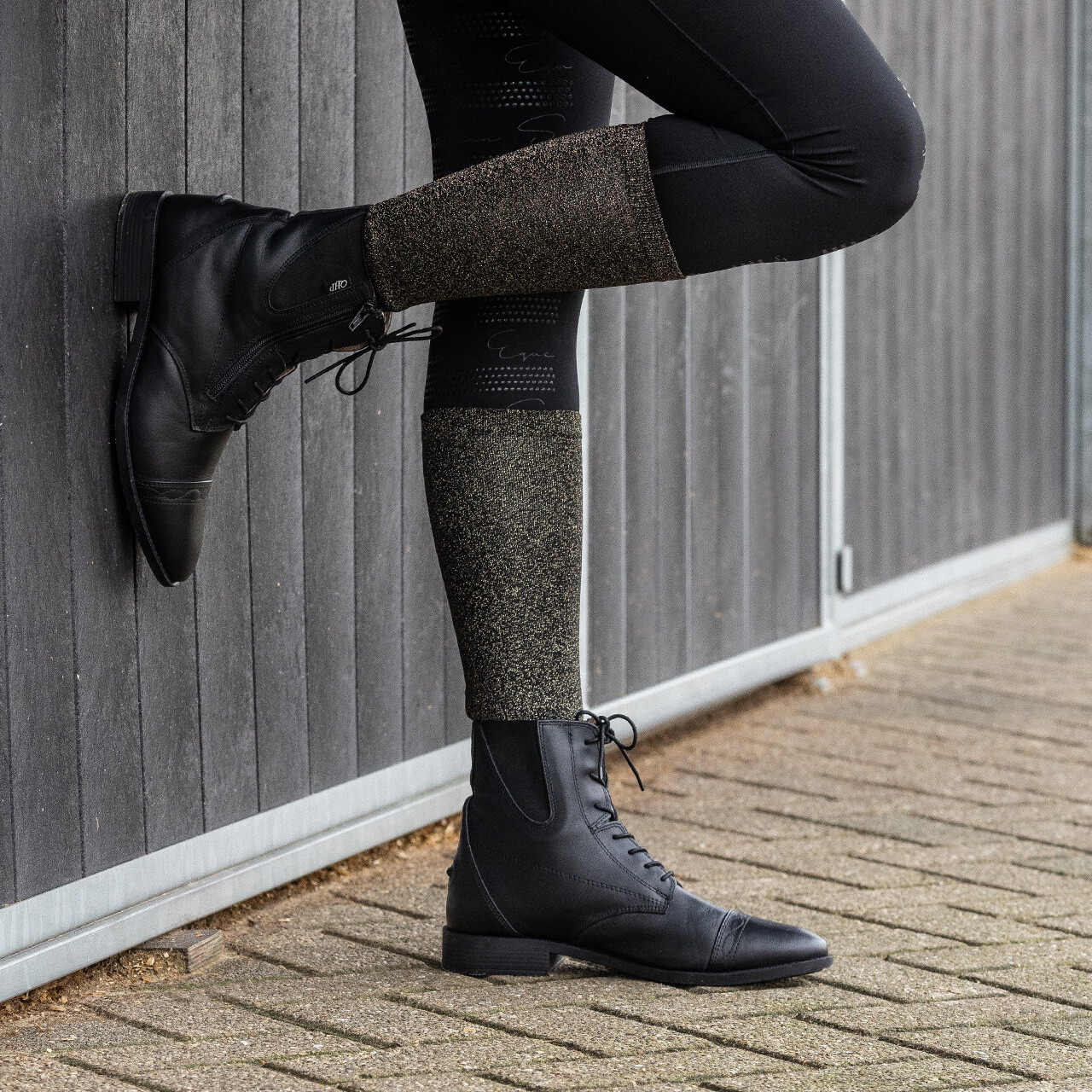 Knee socks gift box (pack of 2)