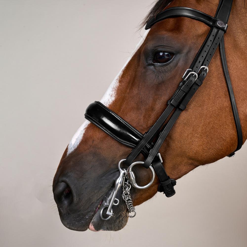 Kandare Working schwedisch Lack in schwarz