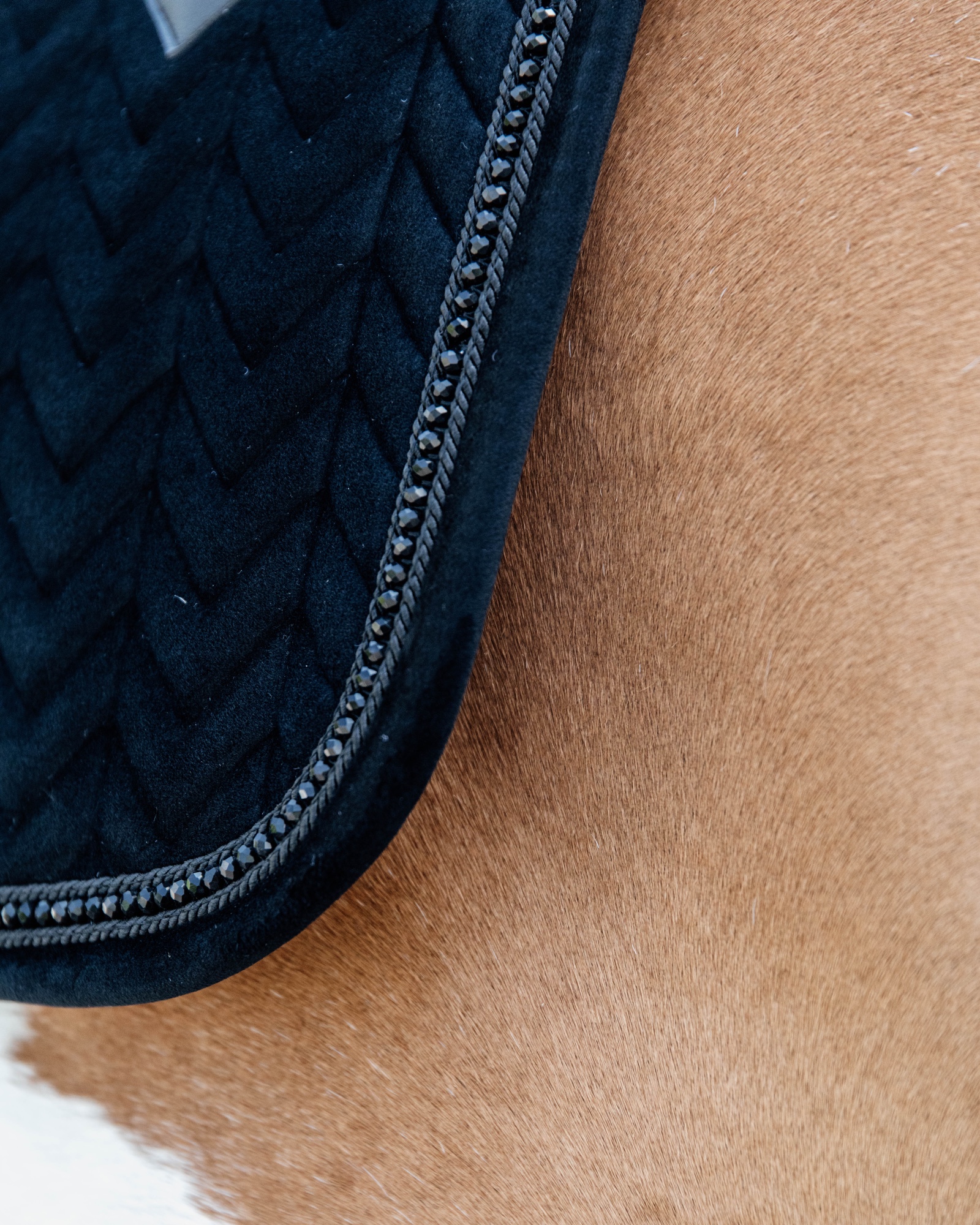 Dressage saddle pad Velvet Pearls