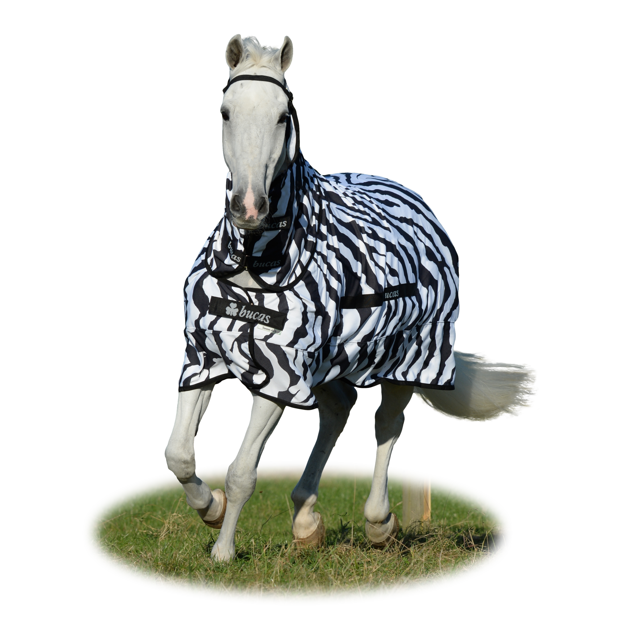Fliegendecke Sweet Itch Rug in Zebra/Black