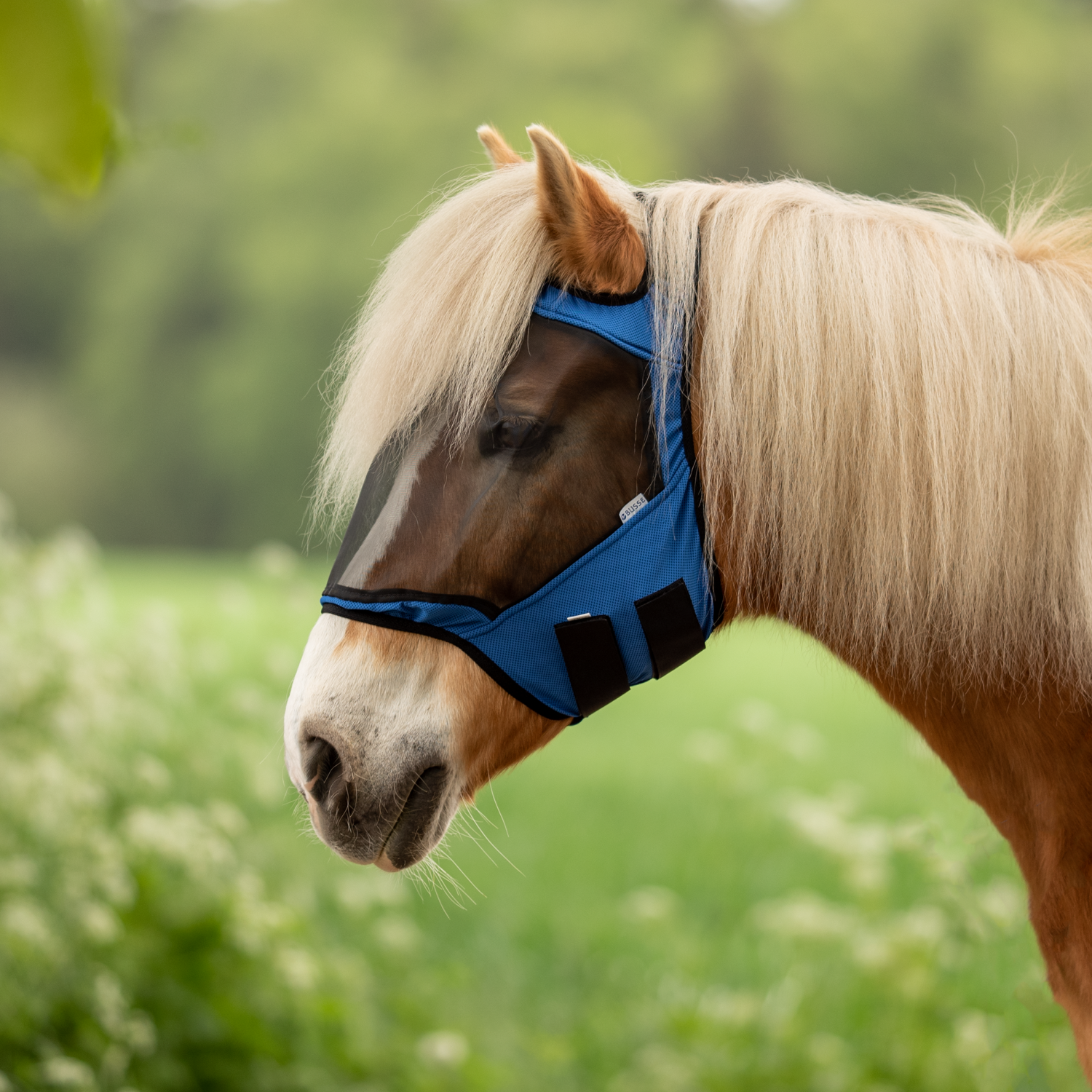 Fly Guard Free fly mask