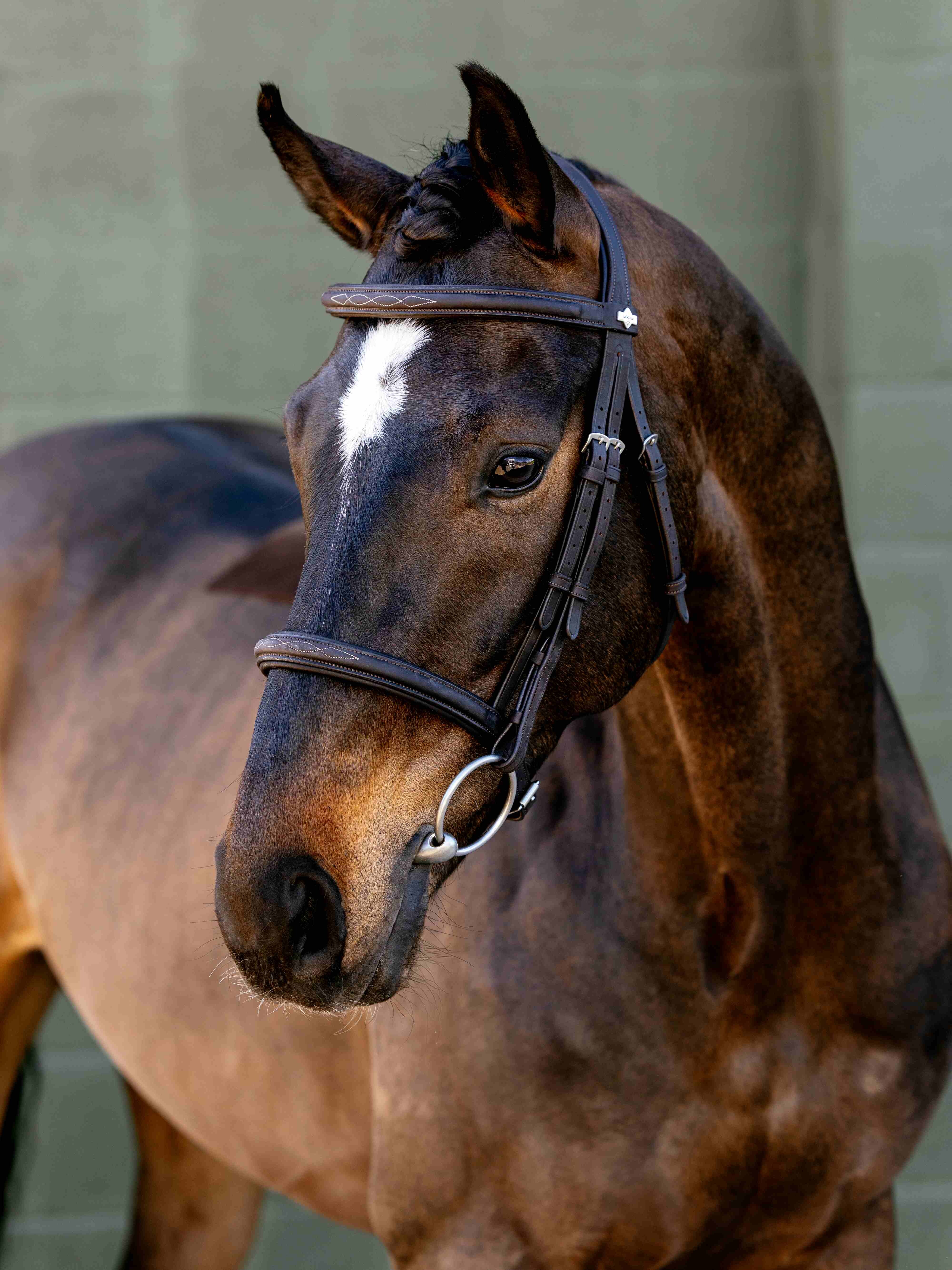 Arika Classique Cavesson Trense