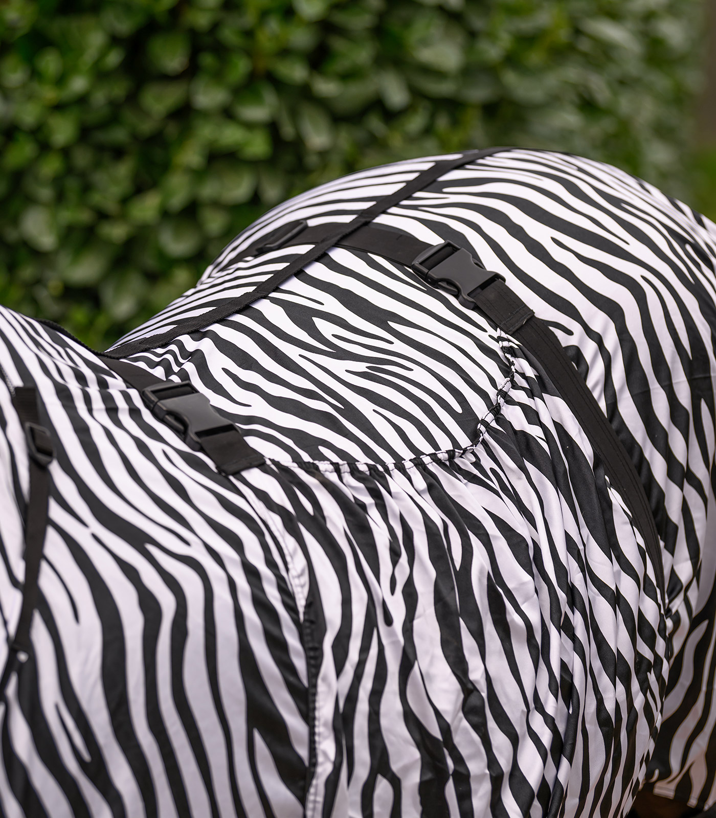 Ekzemerdecke Zebra Basic