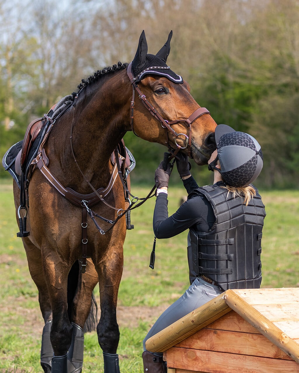 Fliegenohren Eldorado
