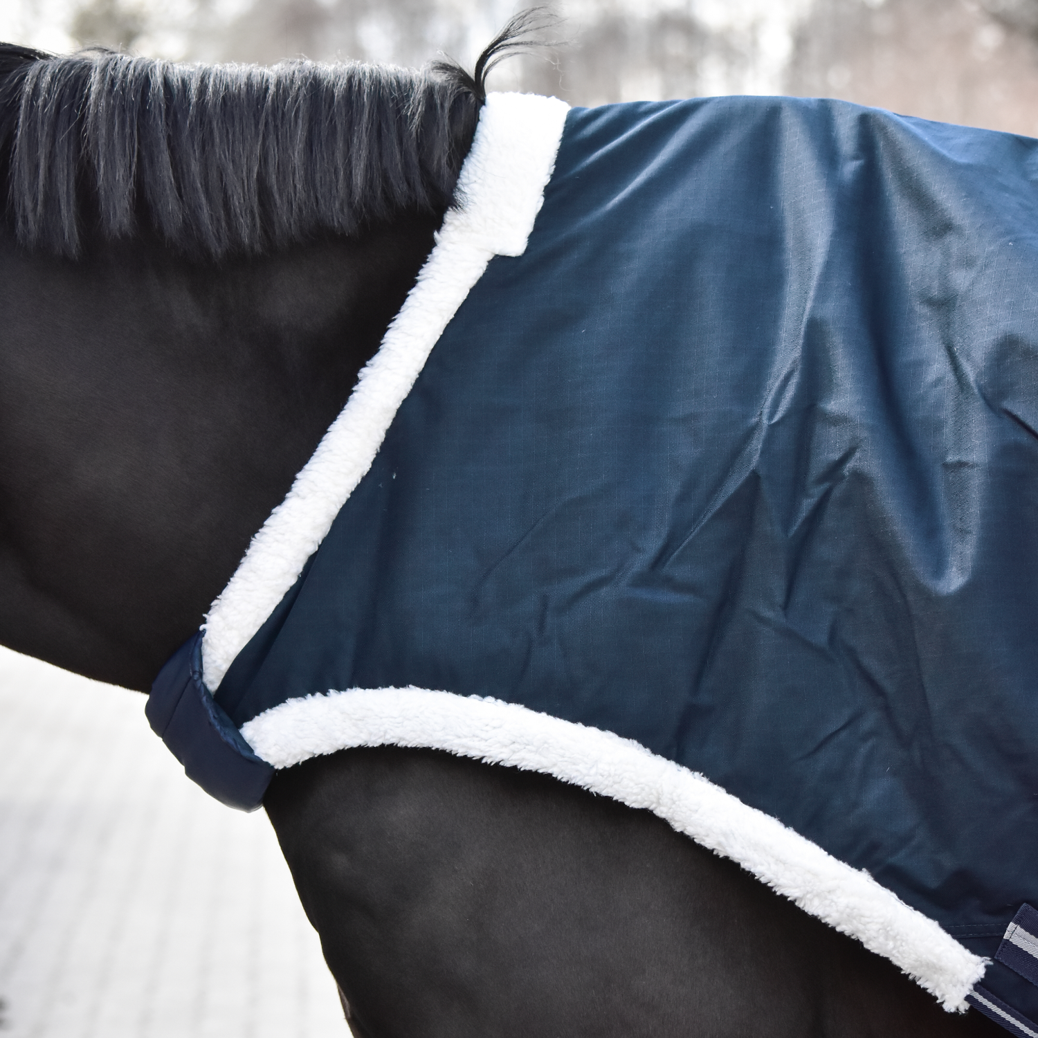 Horse walker rug Walking 100