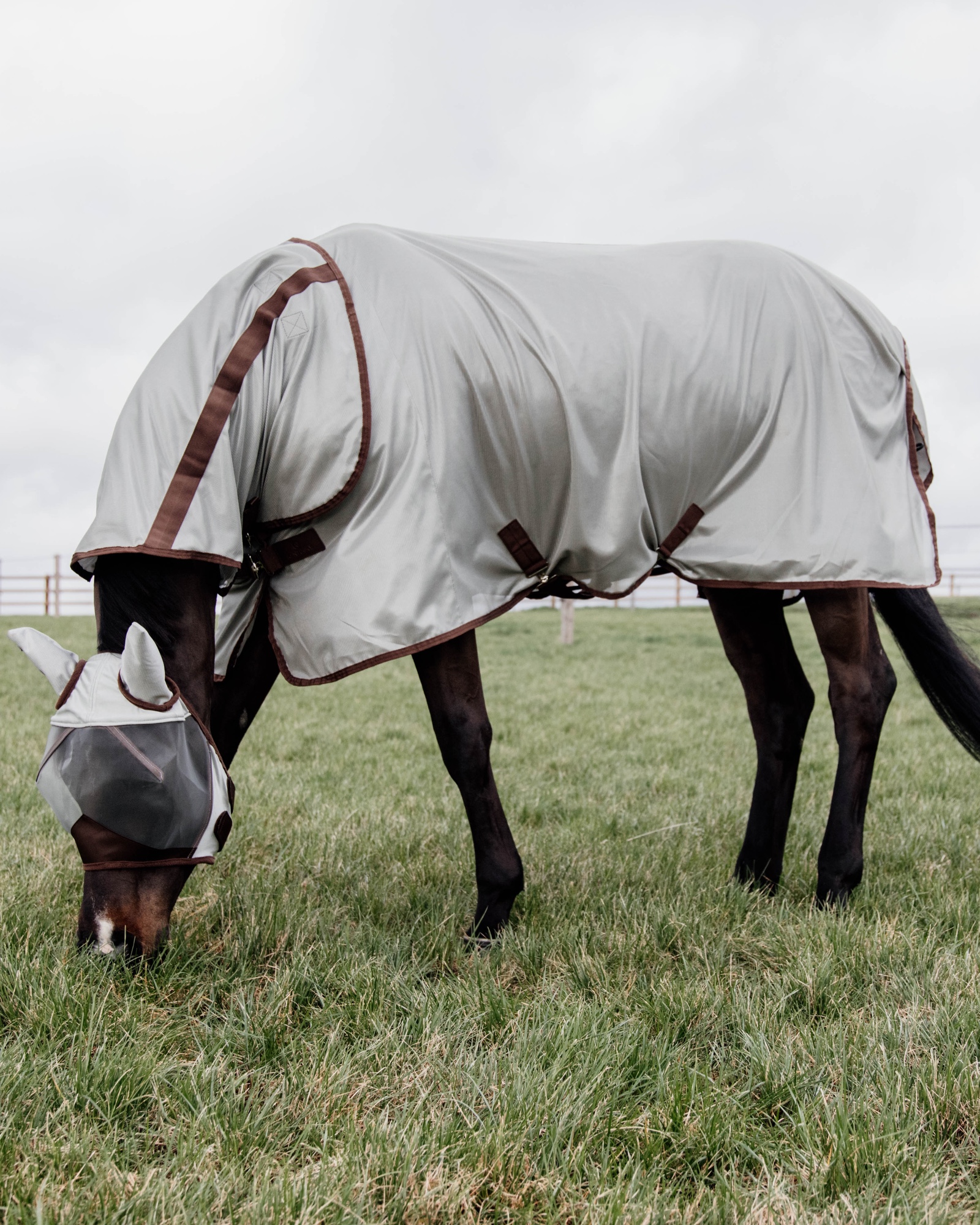 Mesh Classic fly rug