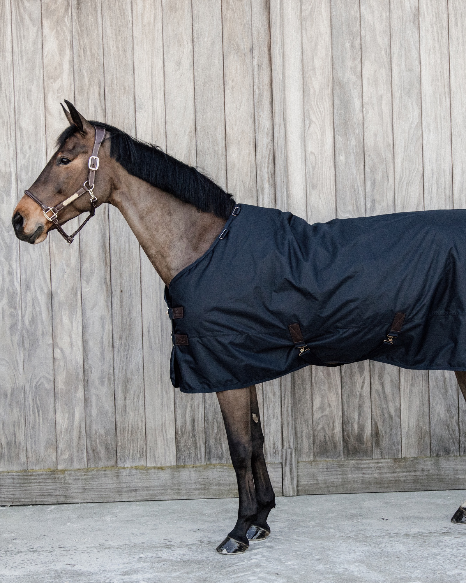 Outdoor rug All Weather waterproof Pro 0g