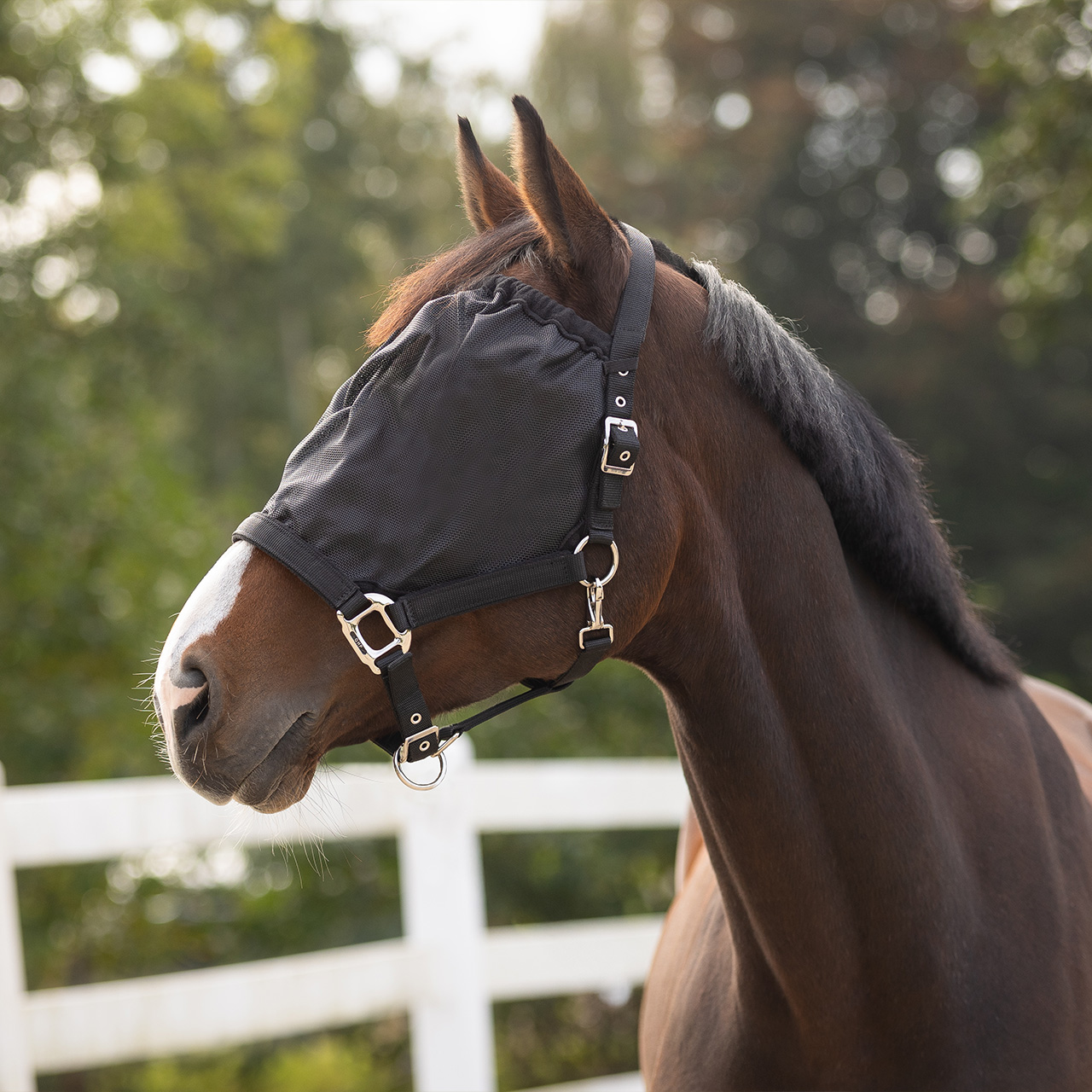 Halter fly mask combi