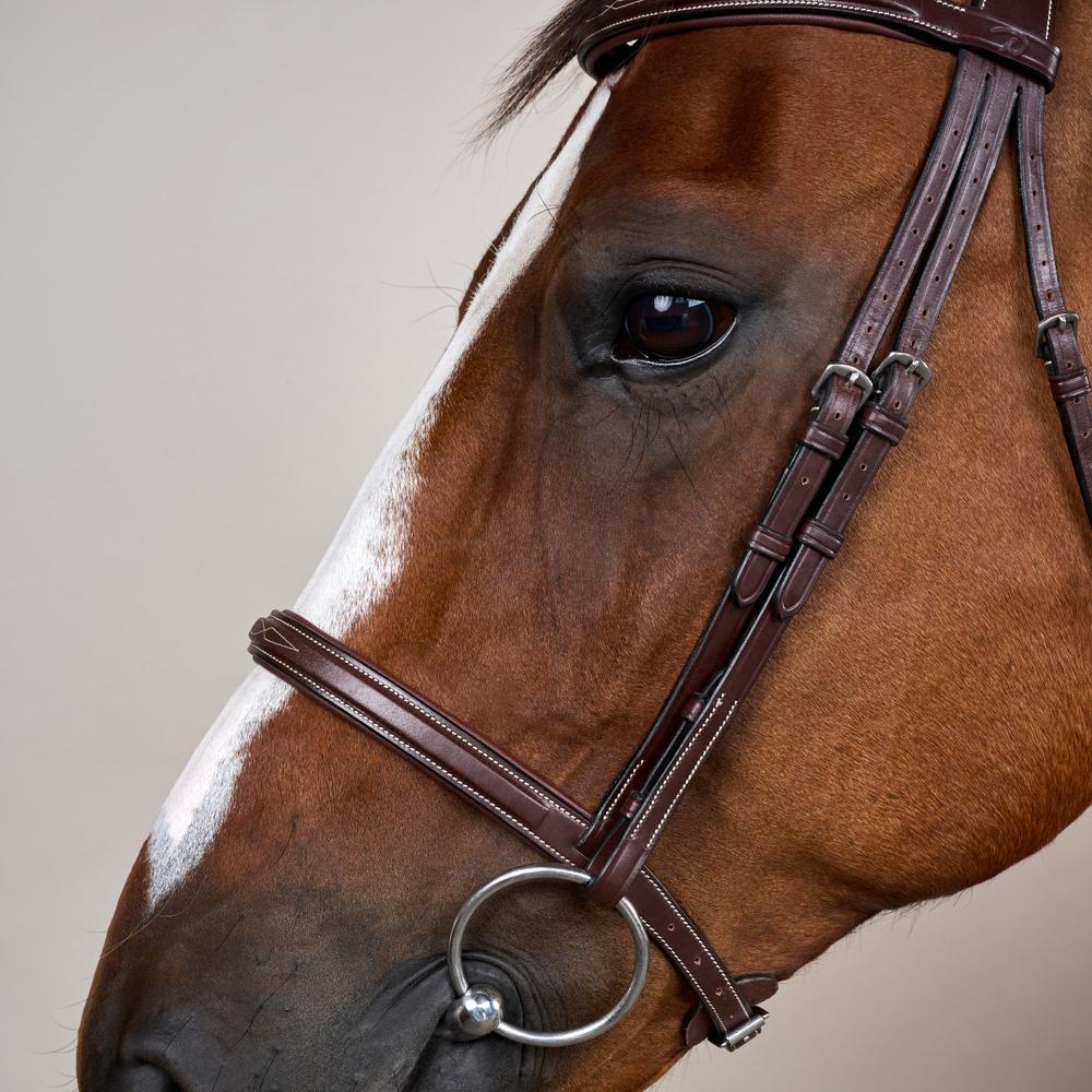 Trense mit Cavesson Reithalfter US
