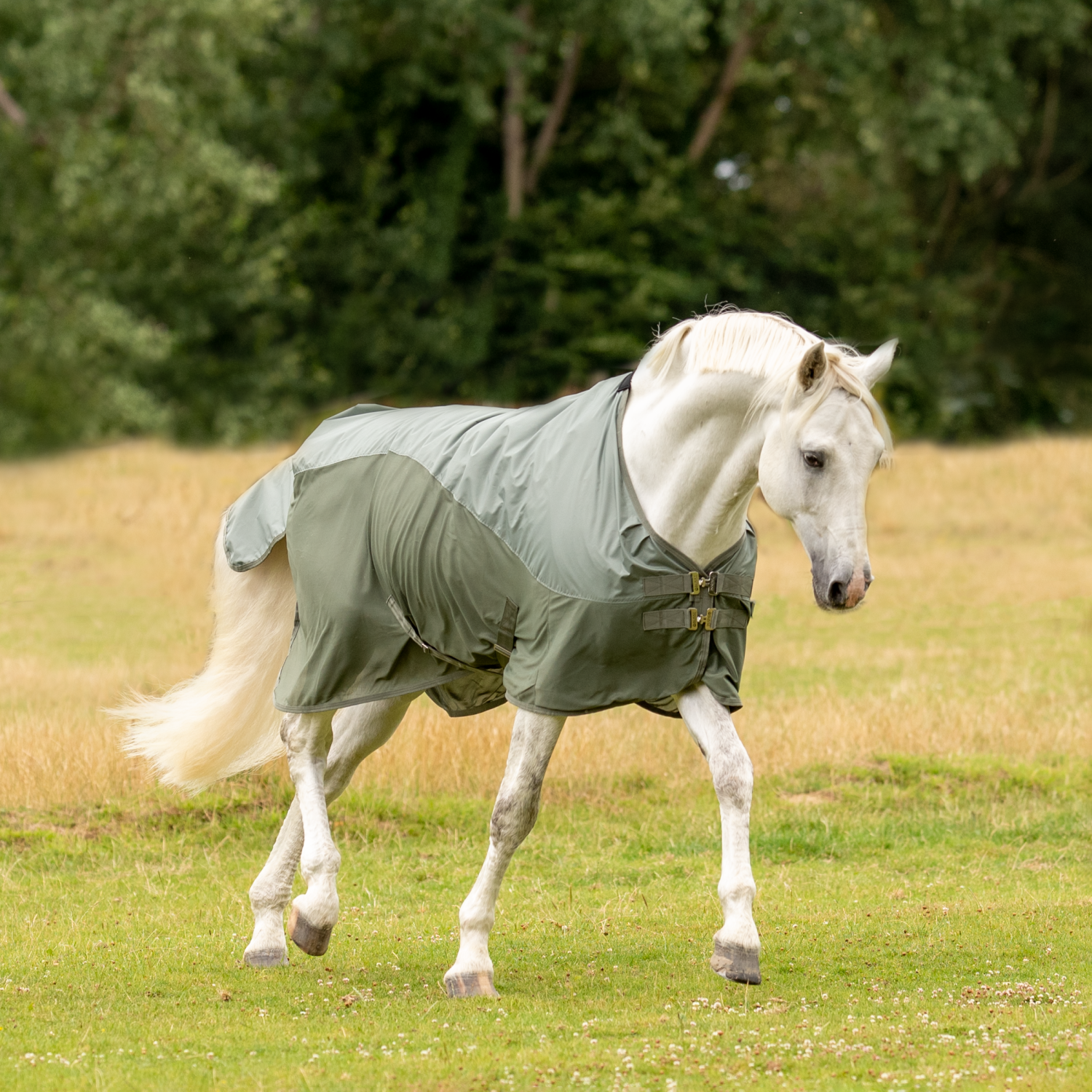 RainFly outdoor blanket RainFly outdoor blanket