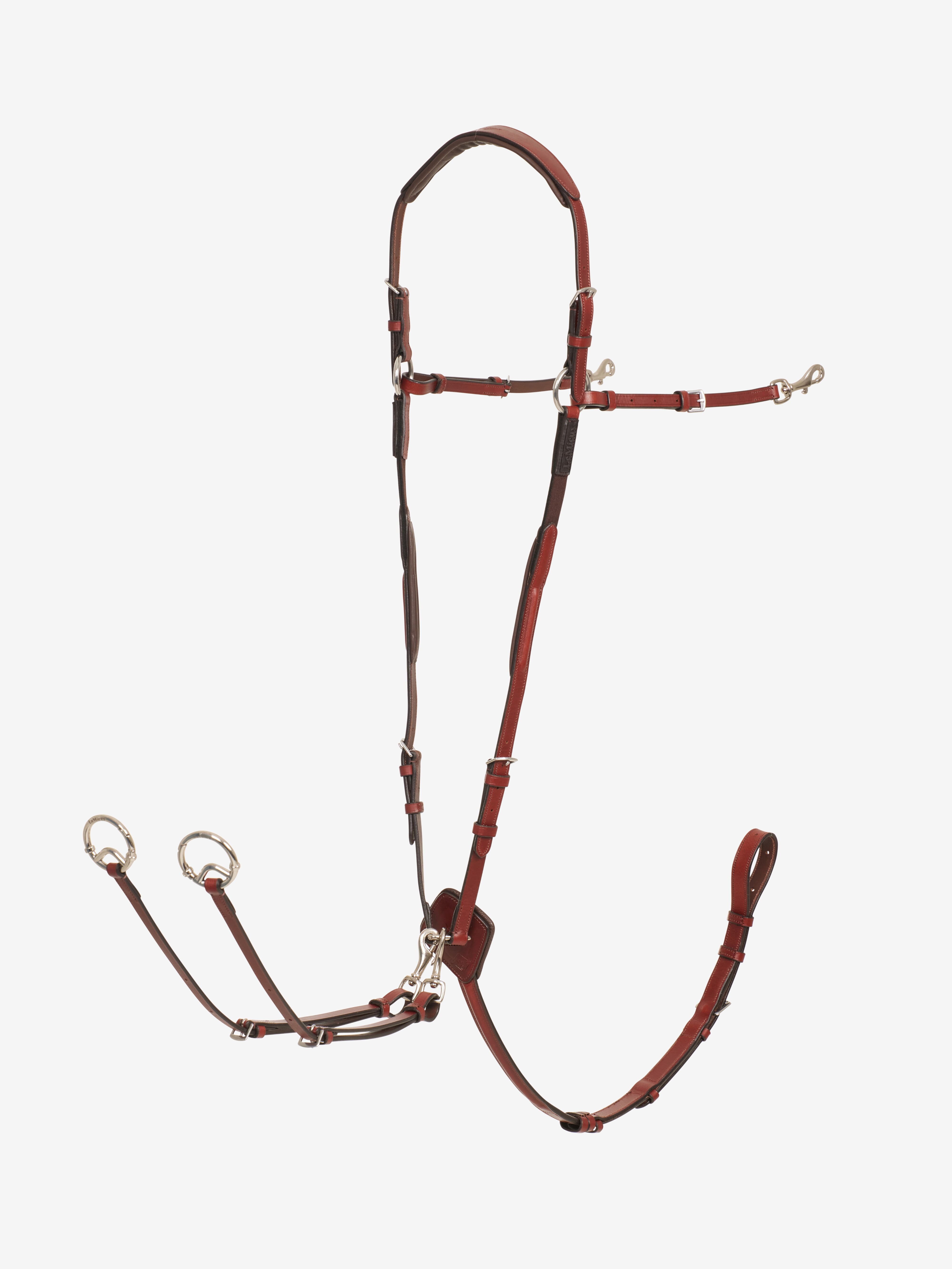 D-Ring borstriem