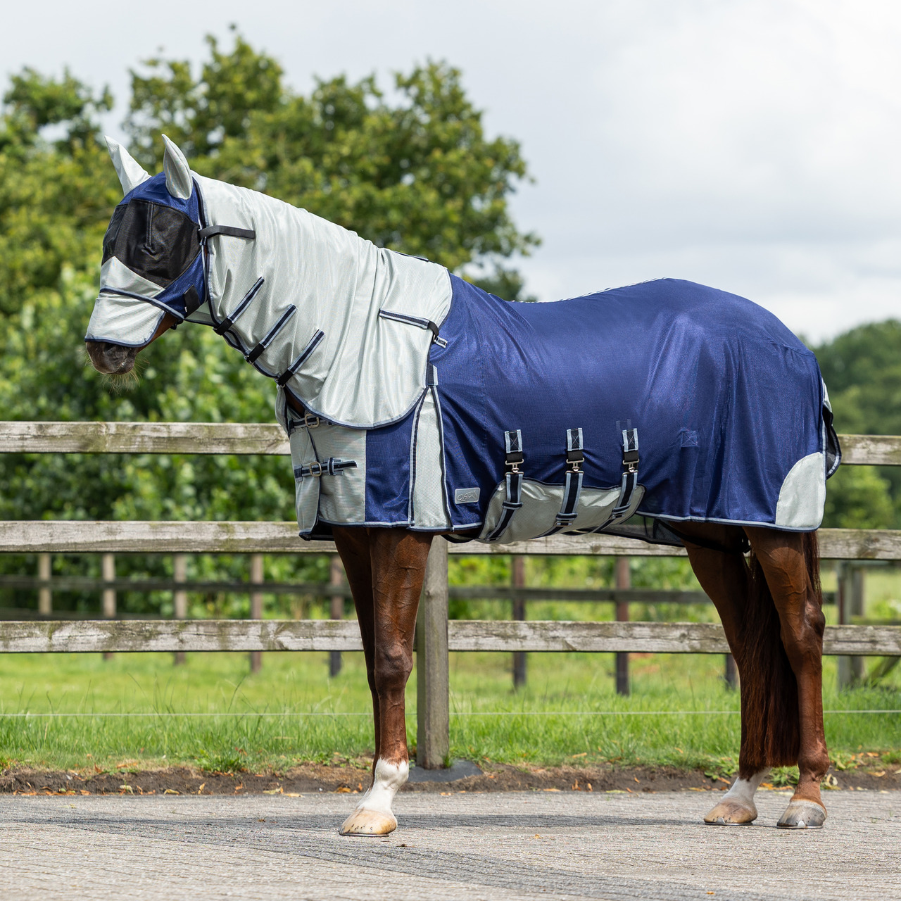 Fly rug with neck and bonnet Fly rug with neck and bonnet