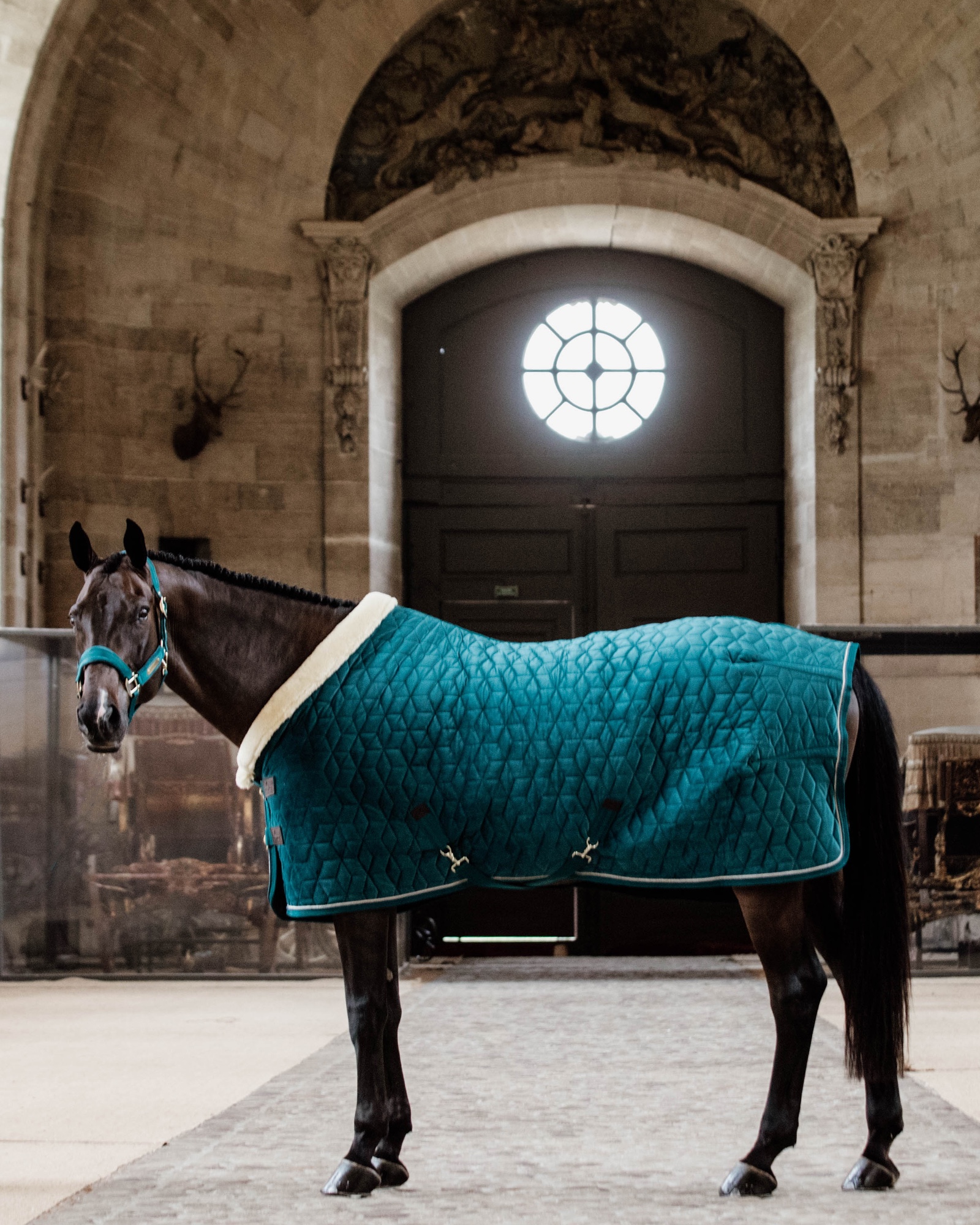 Show rug Show Rug Velvet 160g
