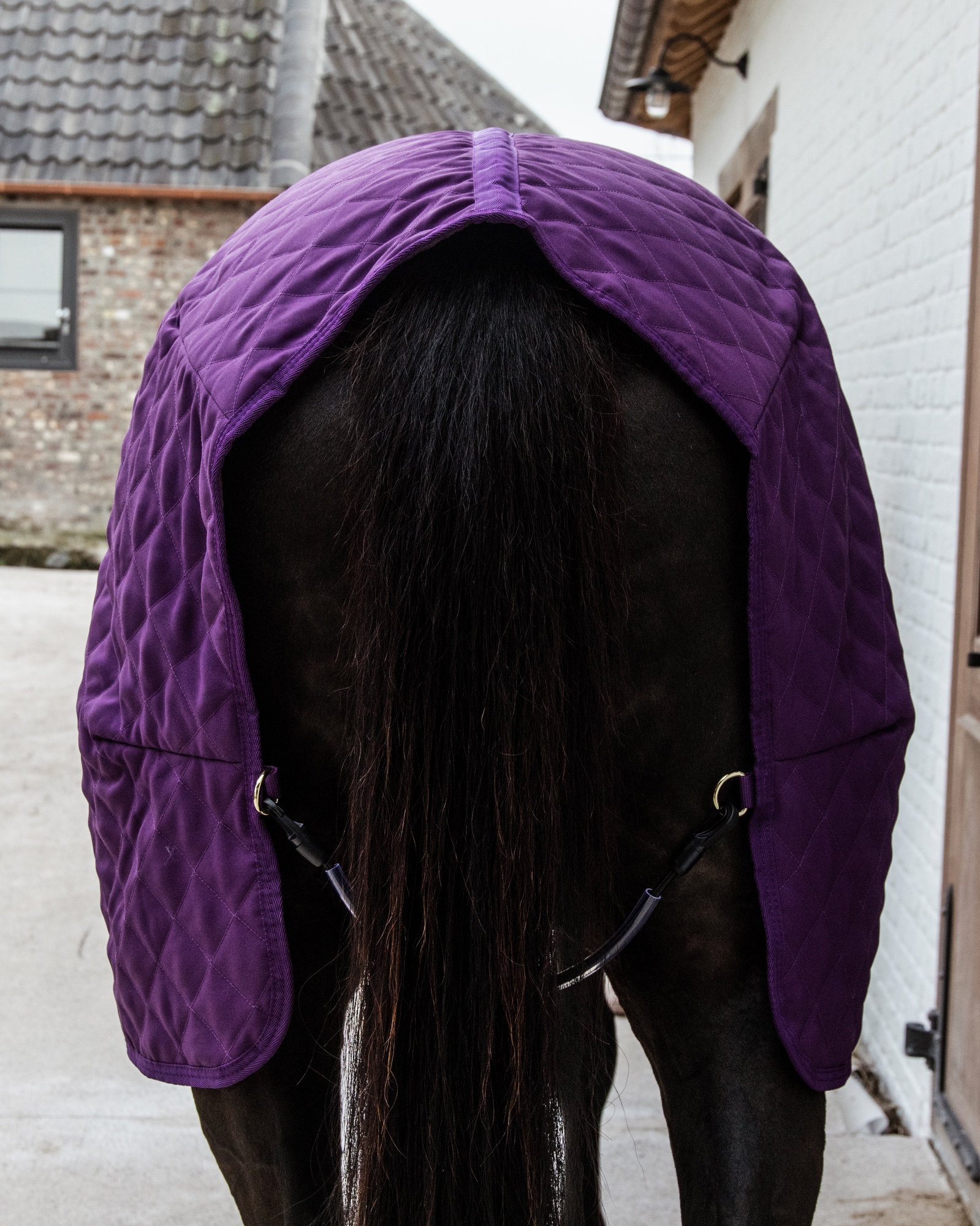 Show rug Show Rug 160g