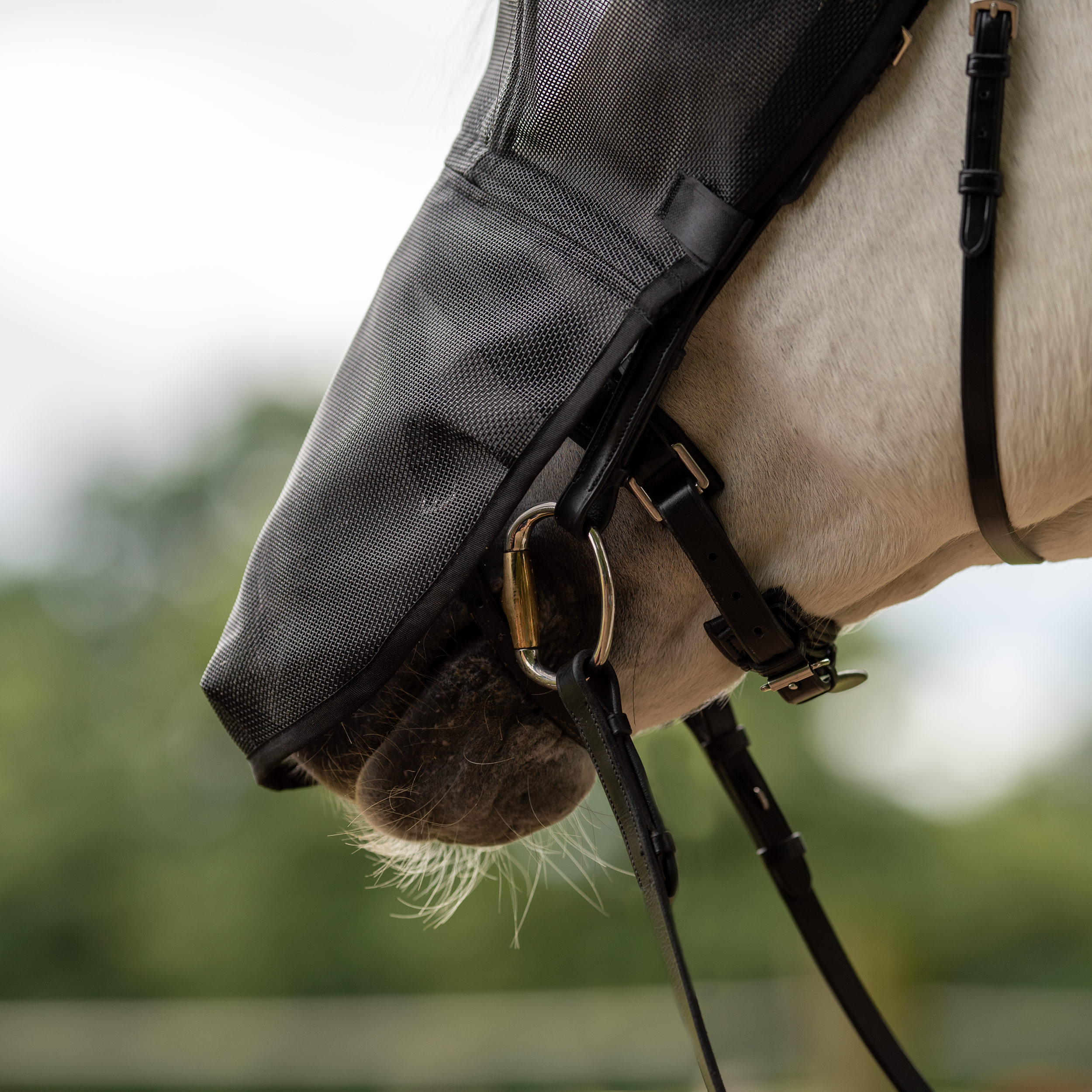 Masque anti-mouches Riding Plus