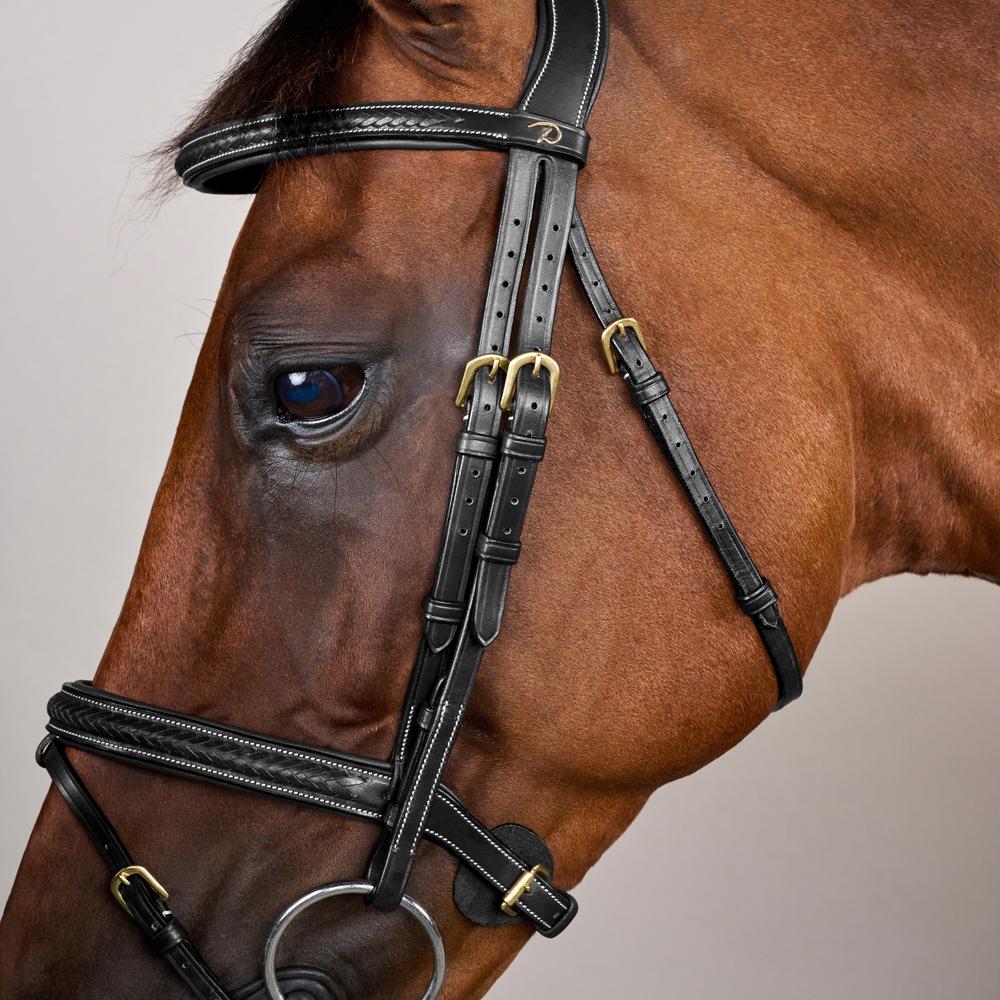 Geflochtene Trense mit kombiniertem Reithalfter DY | Dy'on