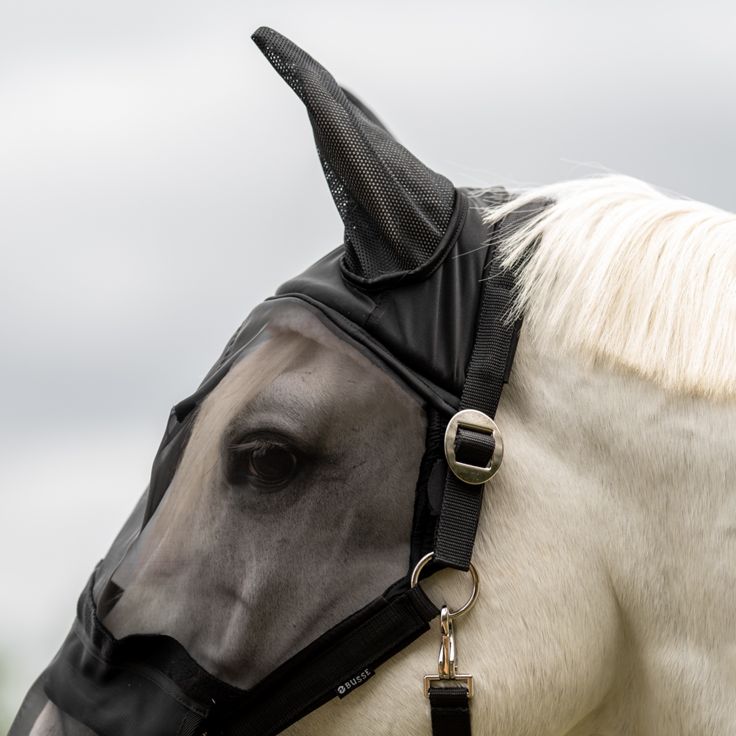 Fliegenhalfter Fast Plus