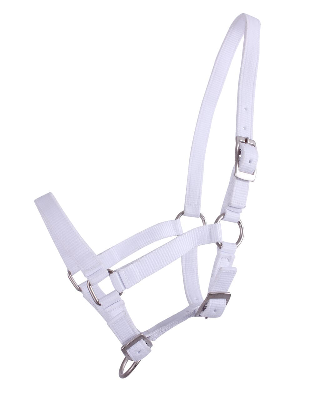 Halfter Fohlen Halfter Fohlen