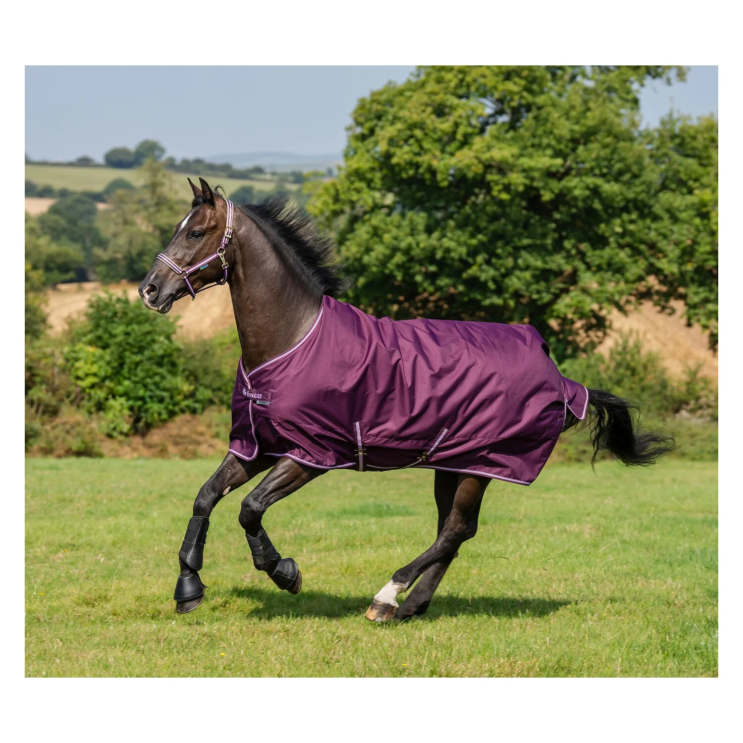Outdoordecke Freedom Turnout 50g